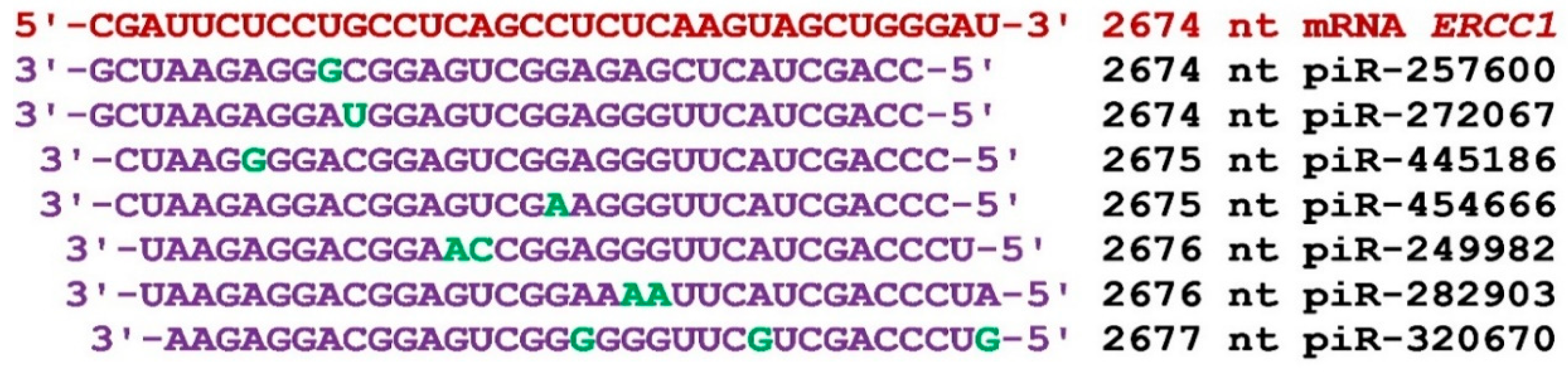 Preprints 73546 g003