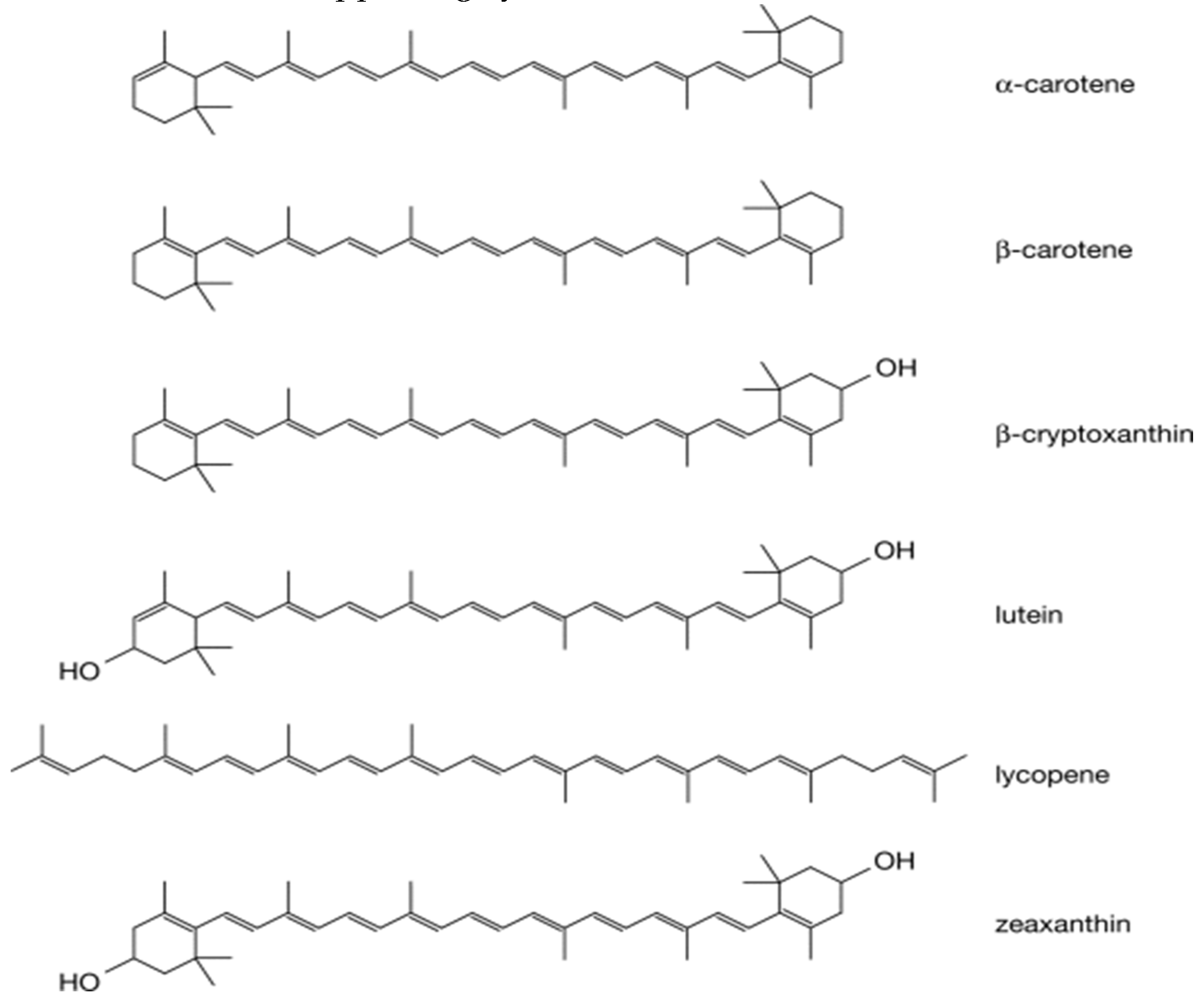 Preprints 98200 g002