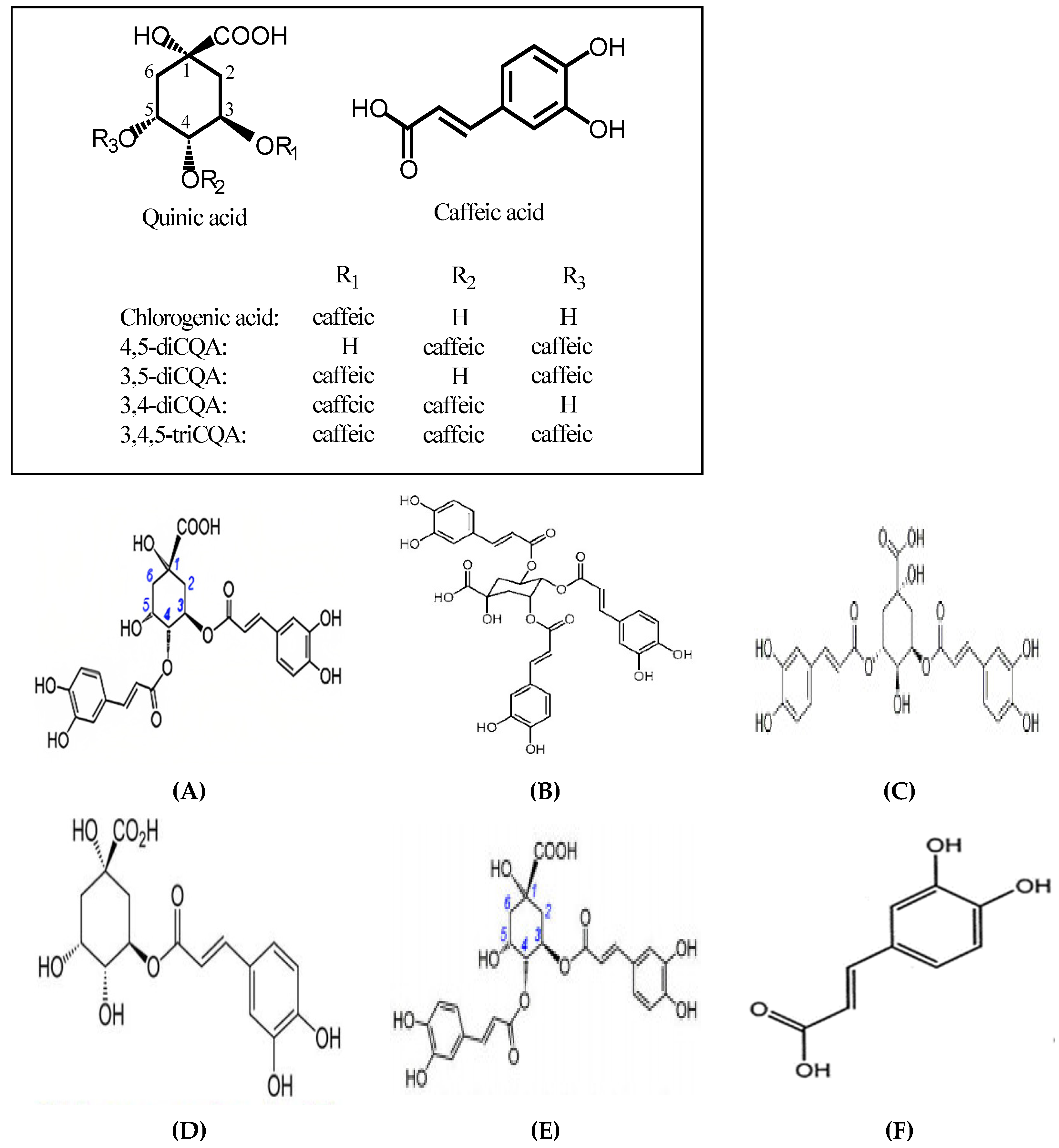 Preprints 98200 g004