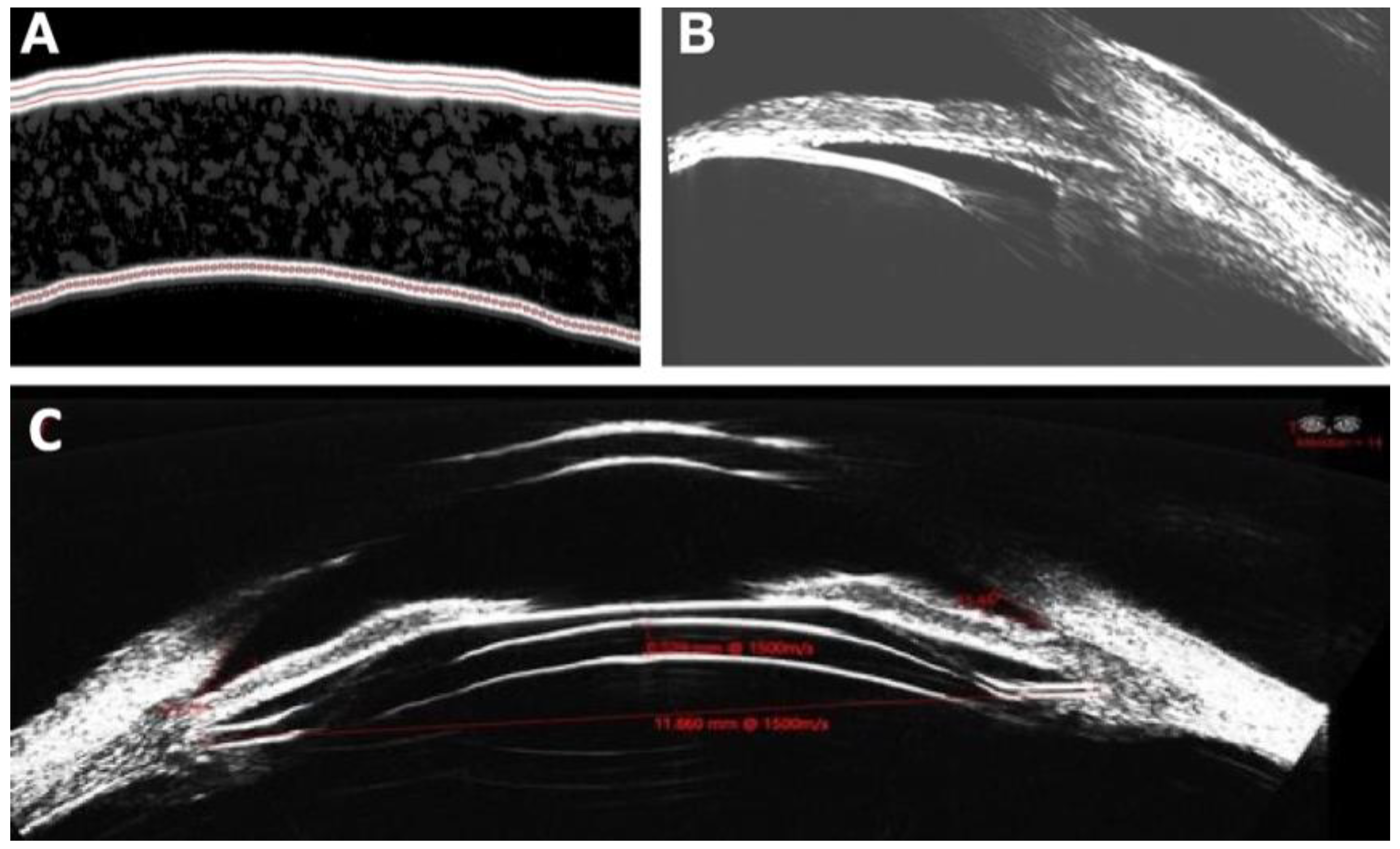 Preprints 93732 g002