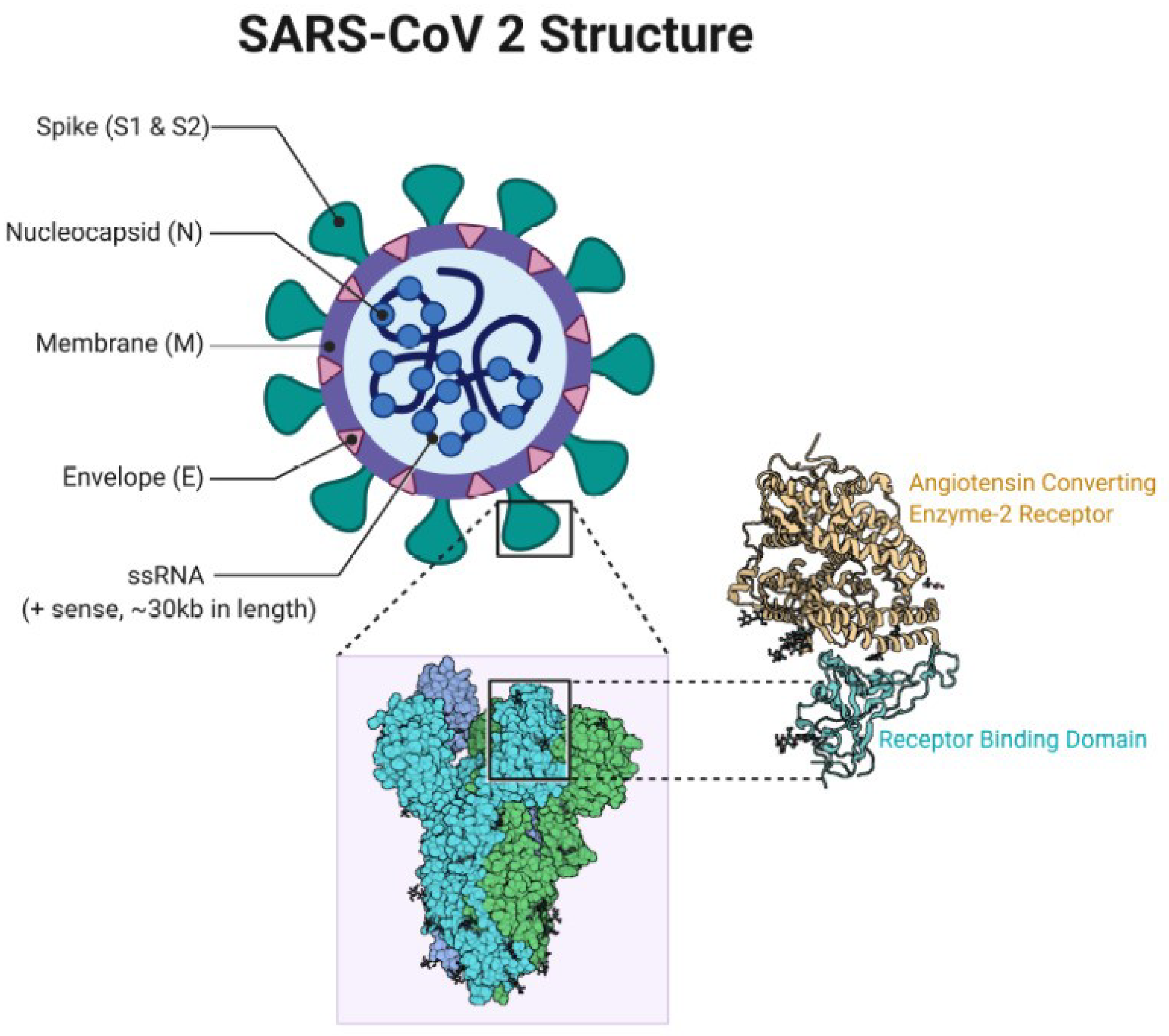 Preprints 82260 g002