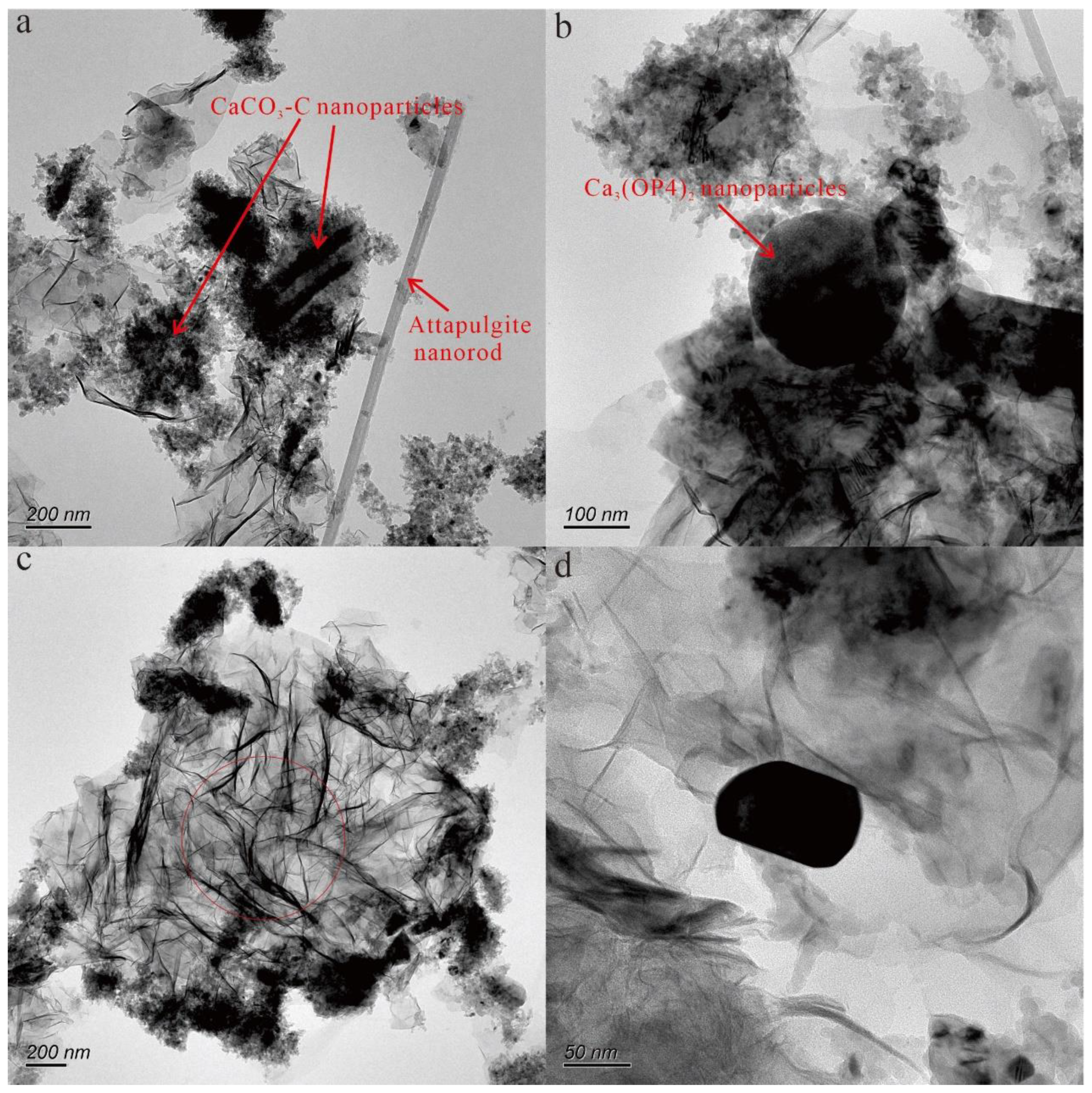 Preprints 83627 g003