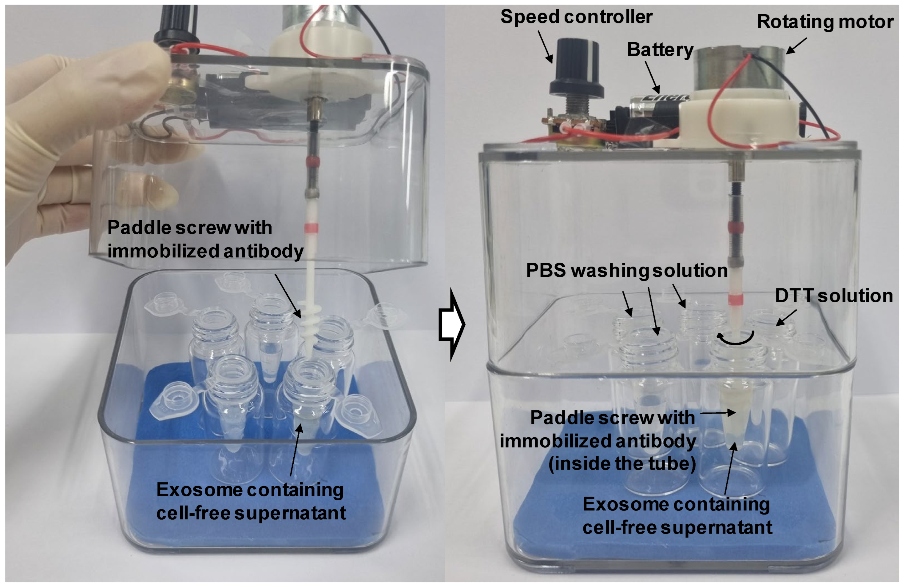 Preprints 112441 g003