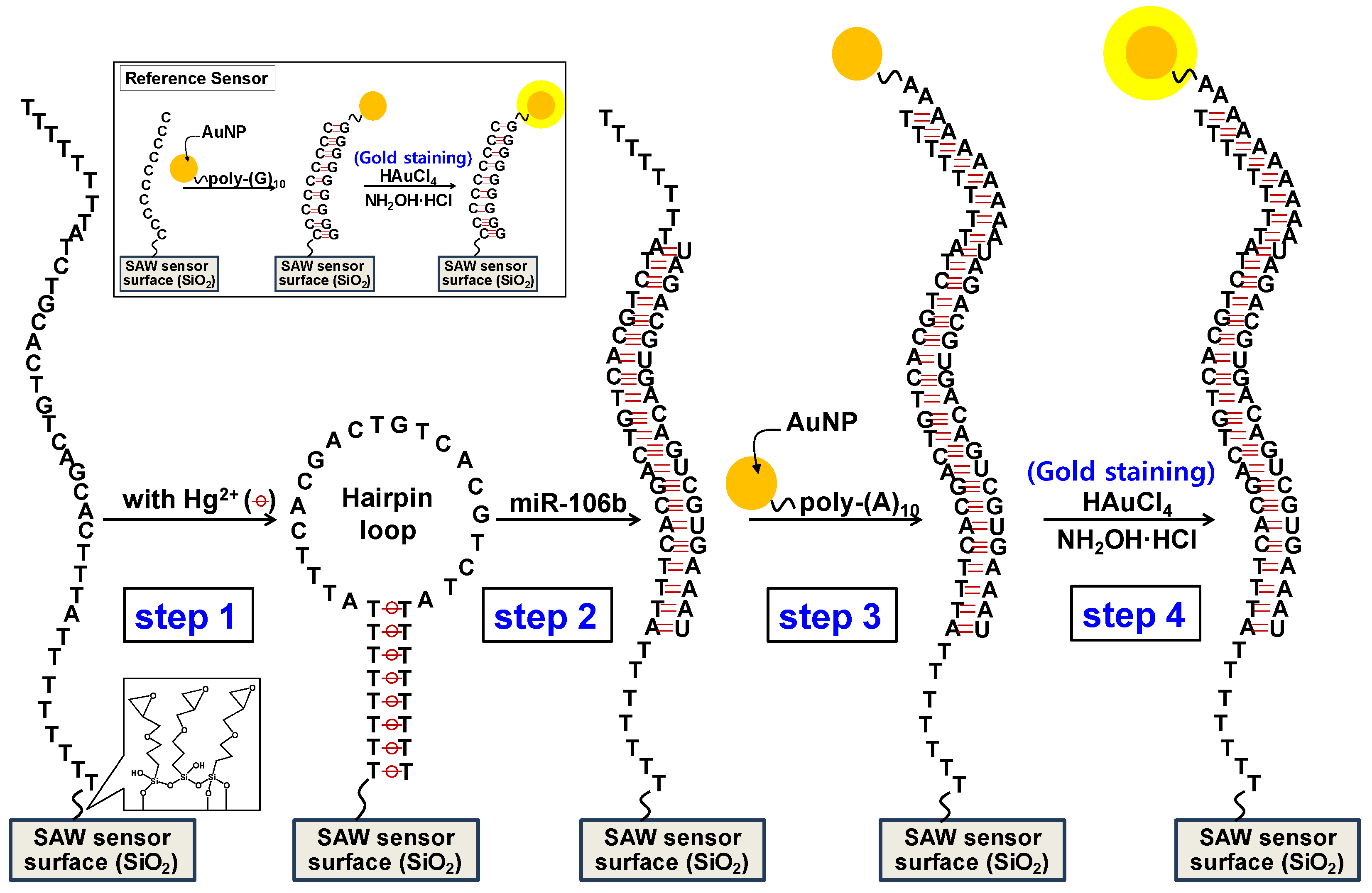 Preprints 112441 sch001