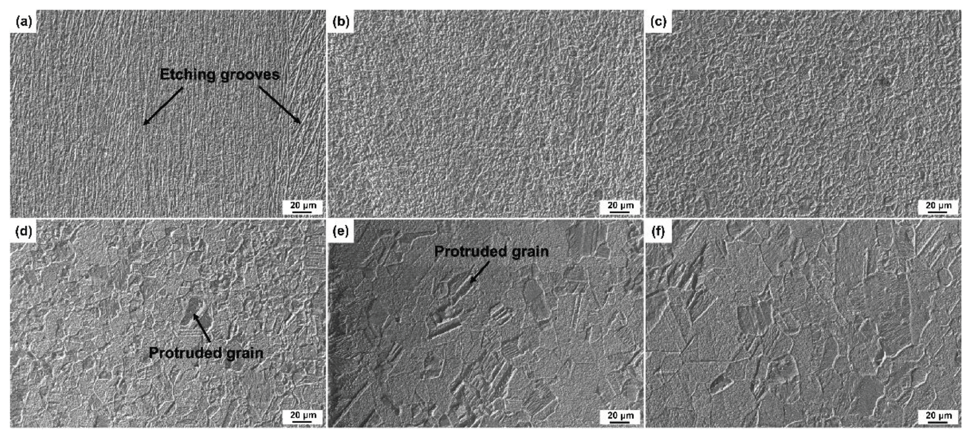 Preprints 102681 g002