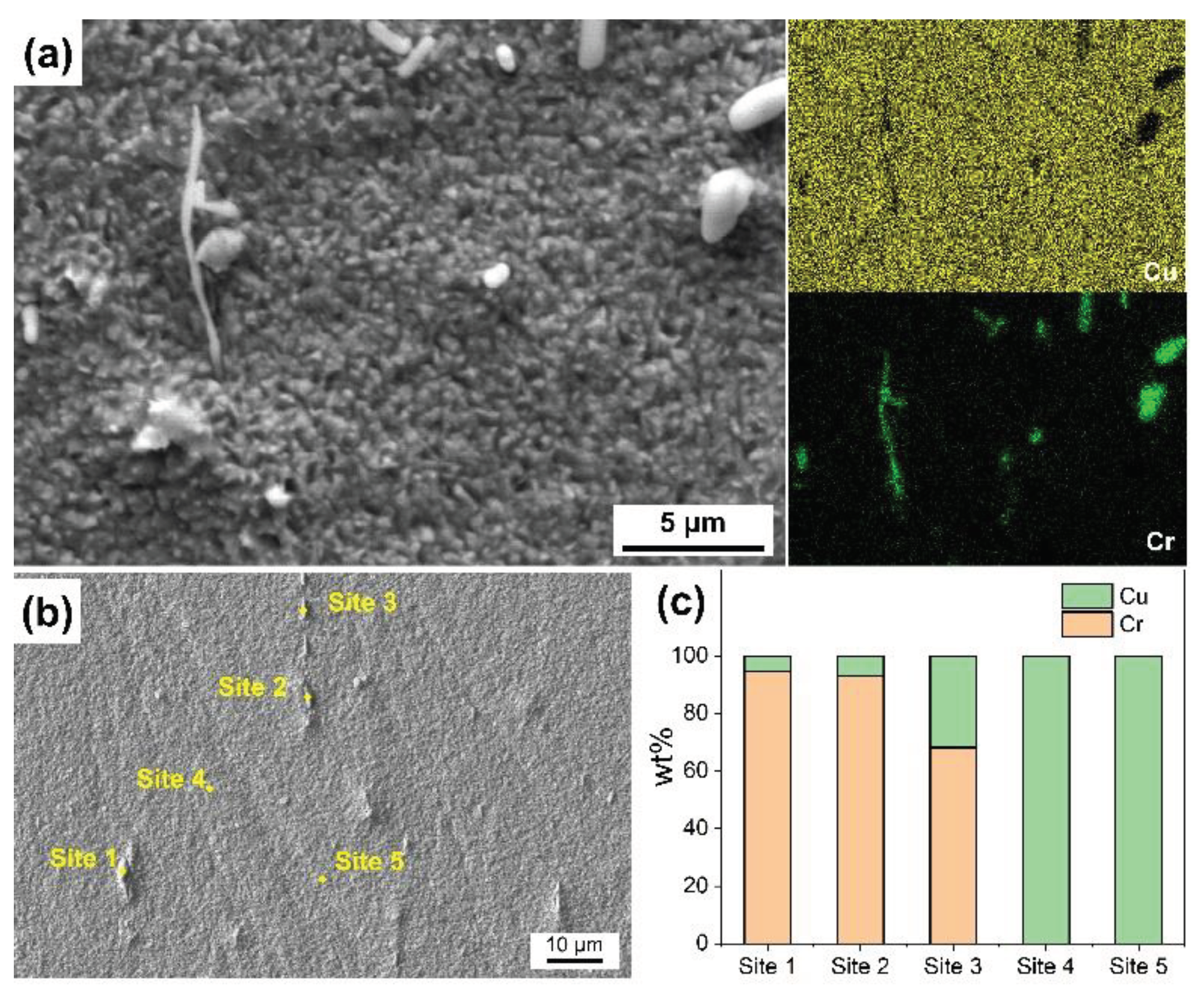 Preprints 102681 g004