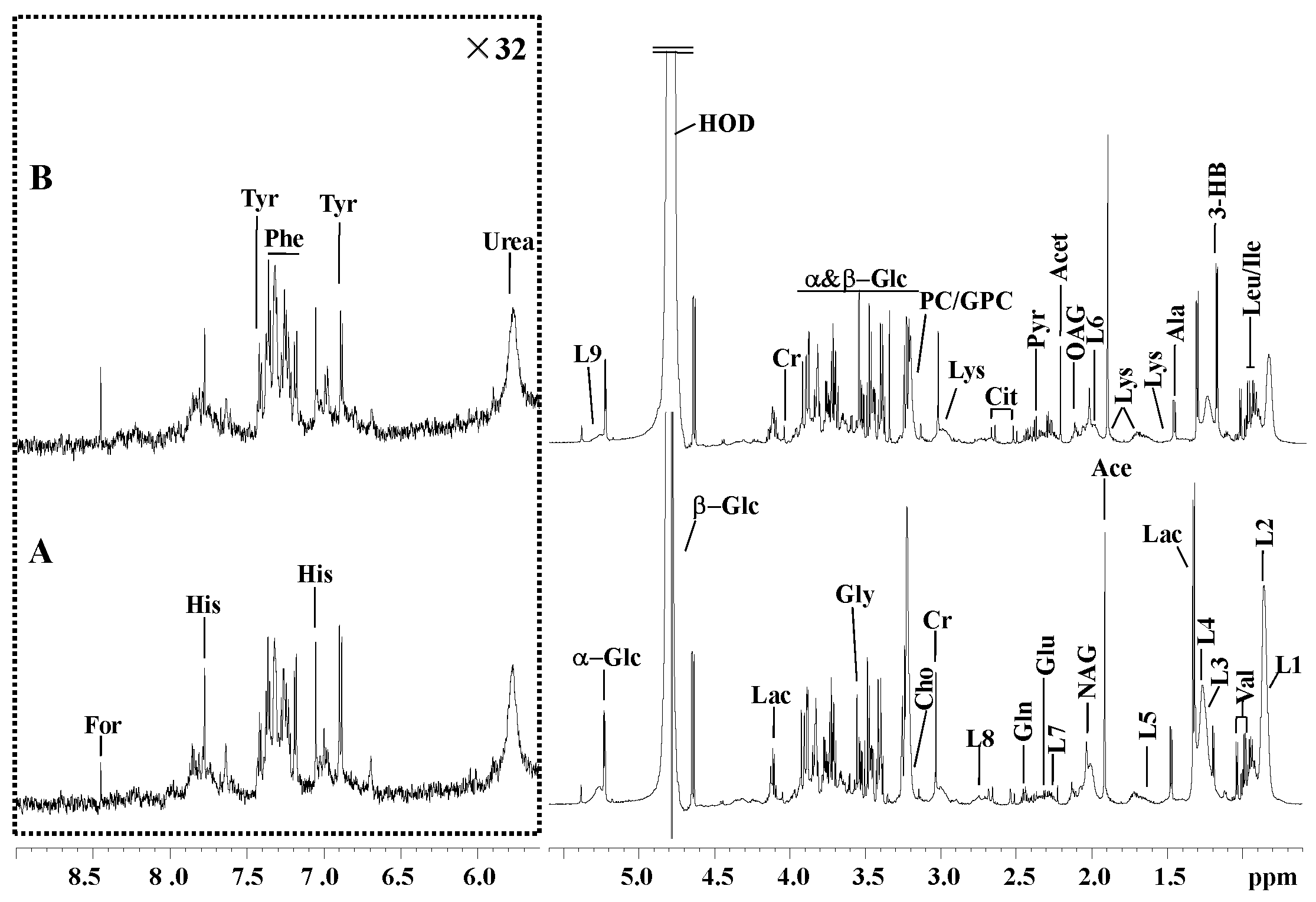 Preprints 79970 g001