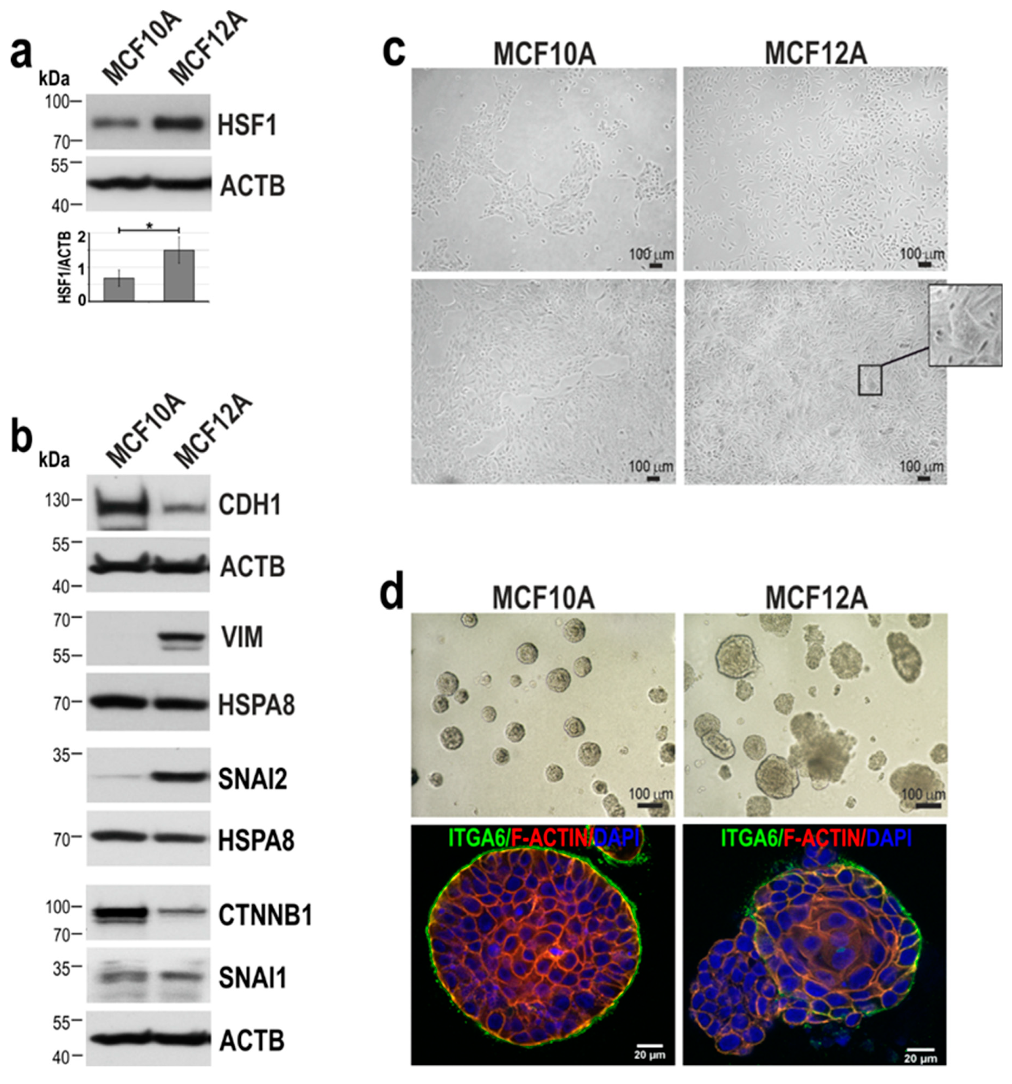 Preprints 85335 g001