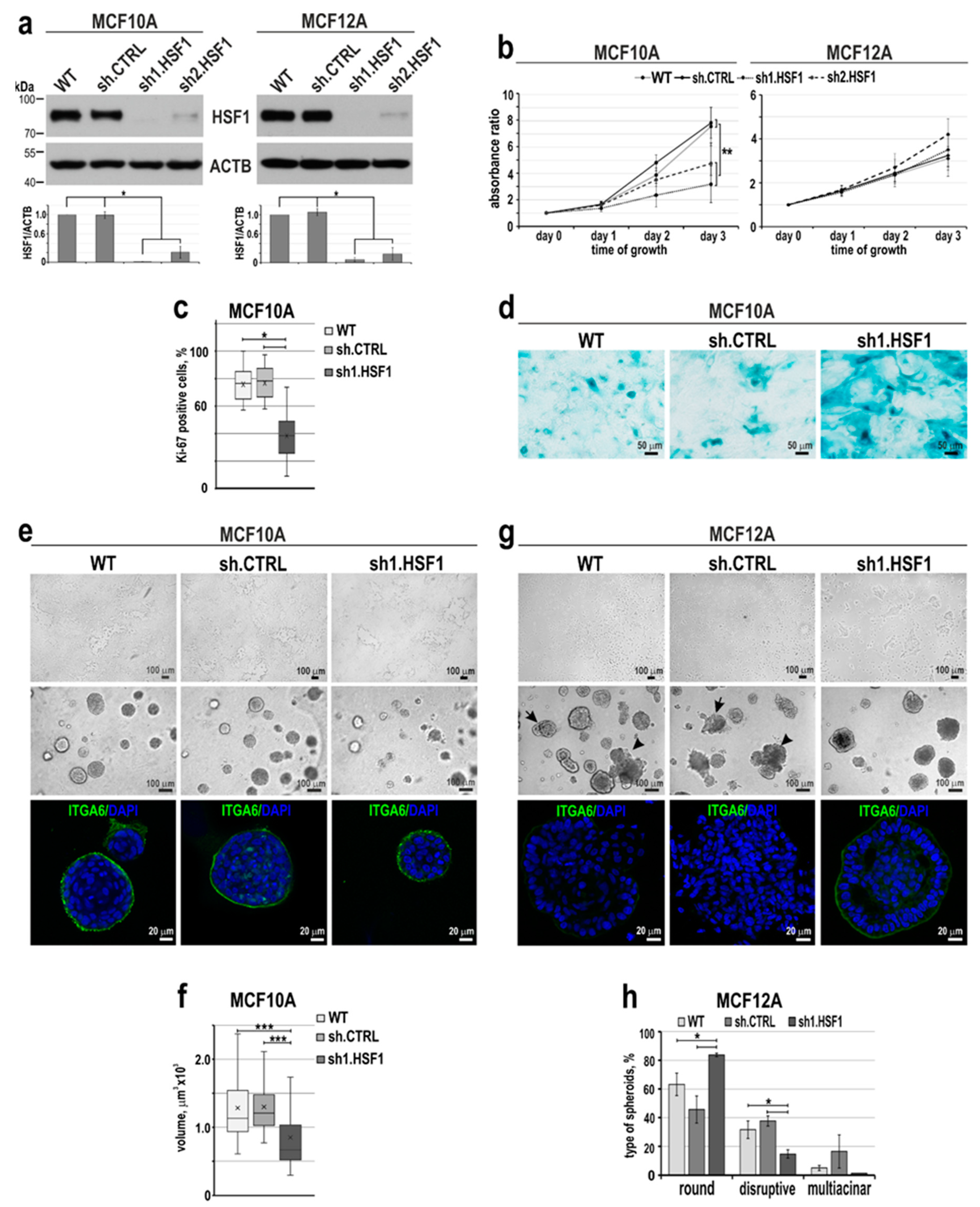 Preprints 85335 g002