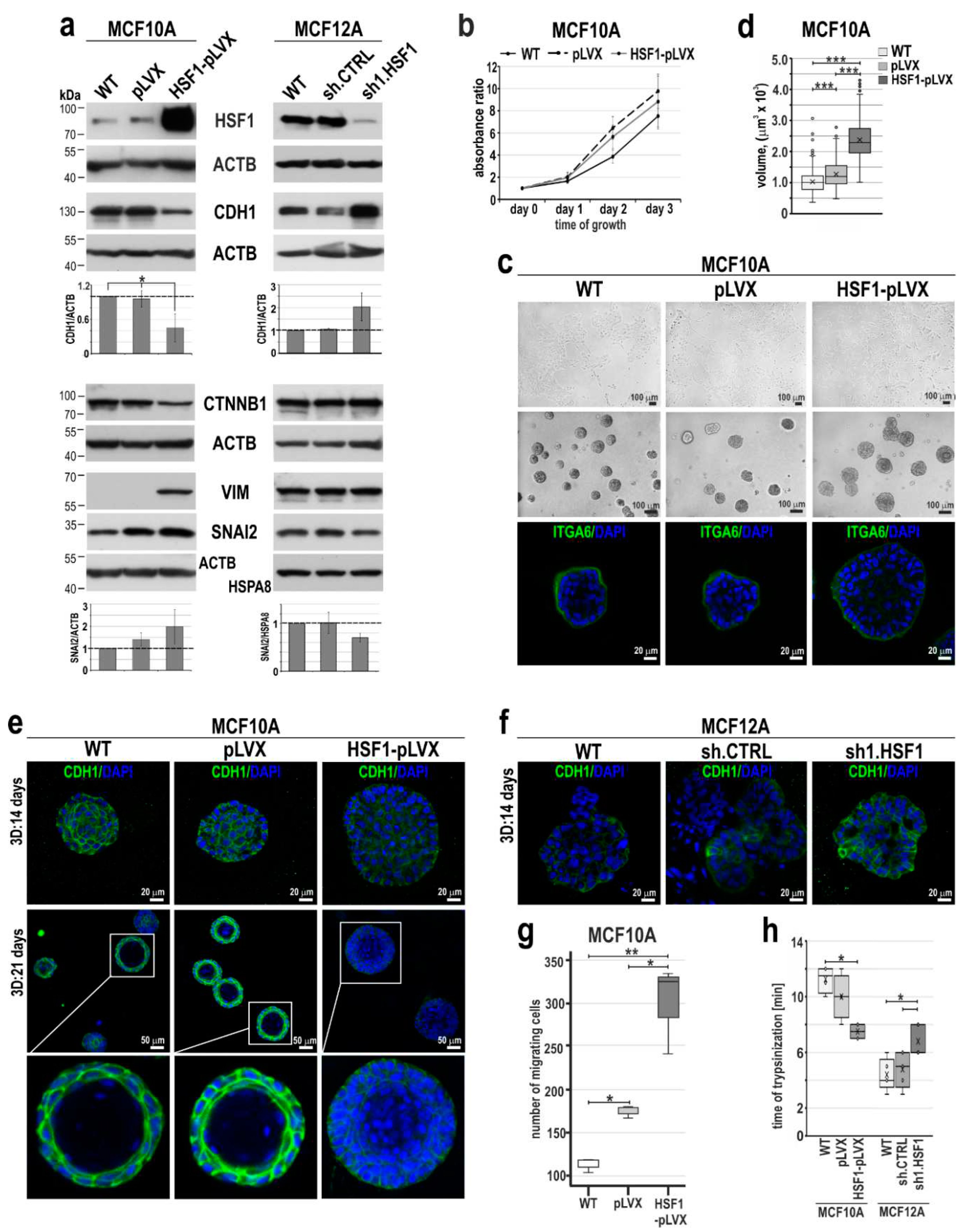 Preprints 85335 g003