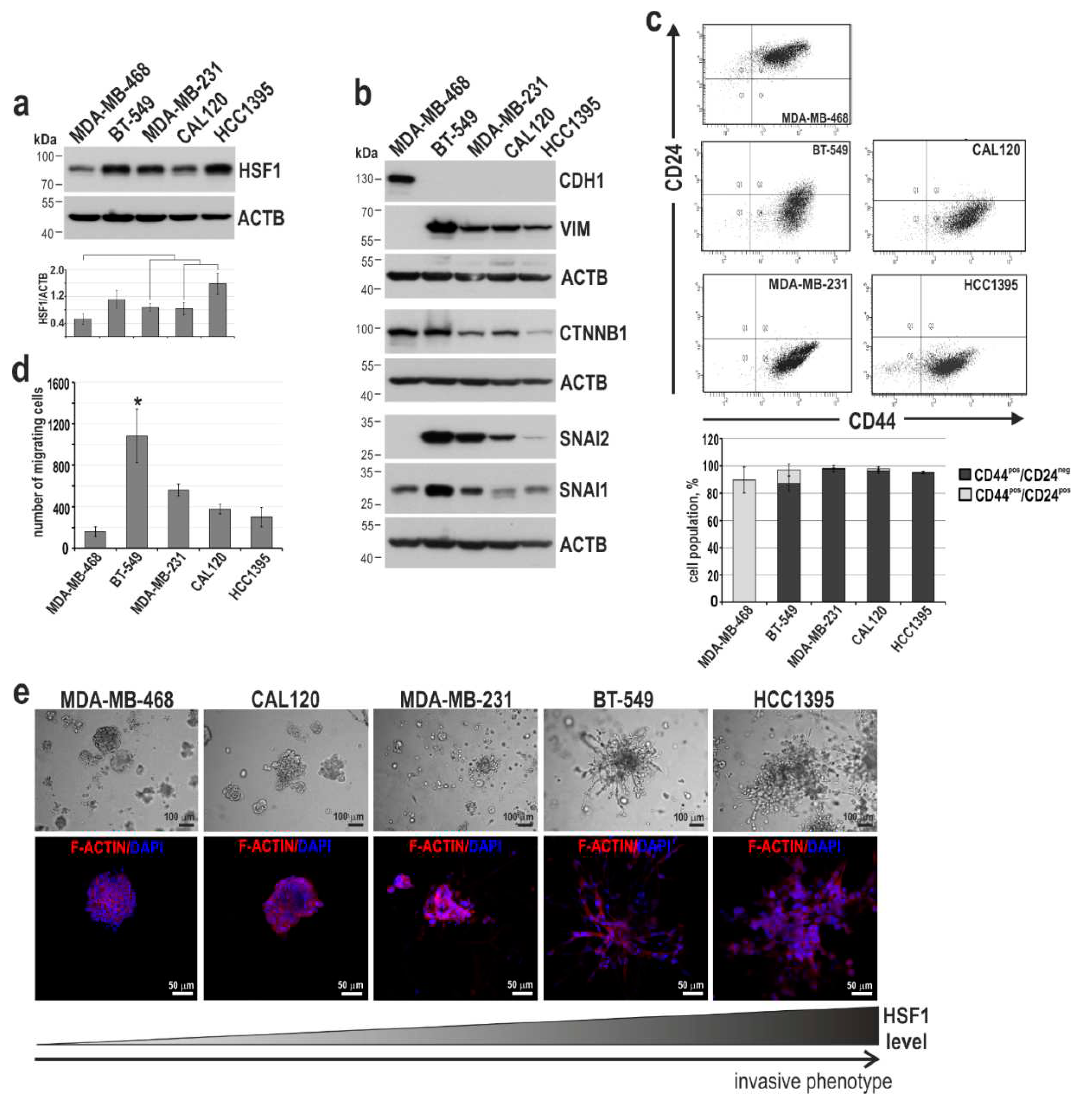 Preprints 85335 g005