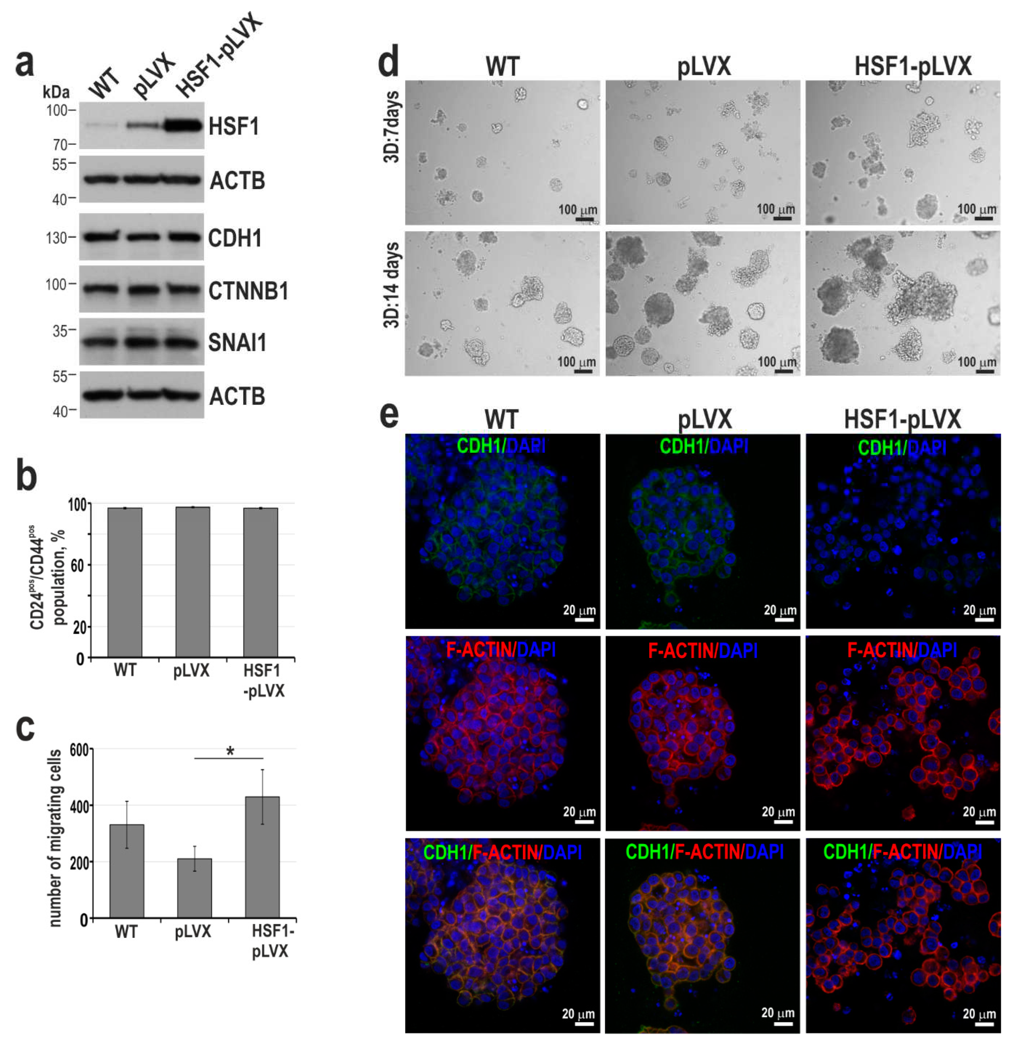 Preprints 85335 g006