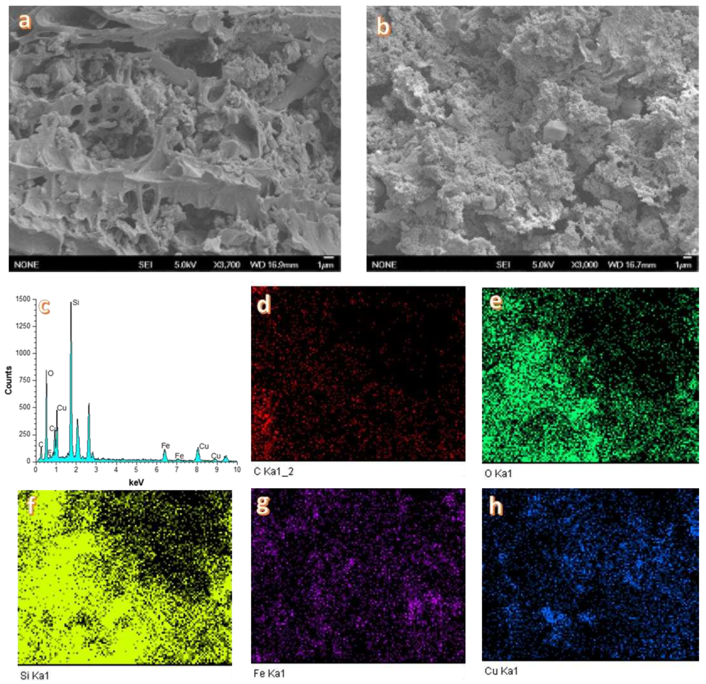 Preprints 93262 g005