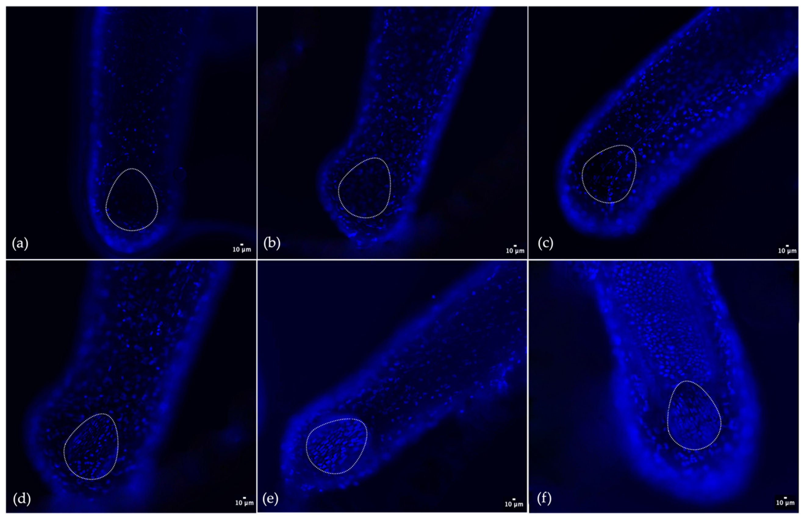 Preprints 89548 g004