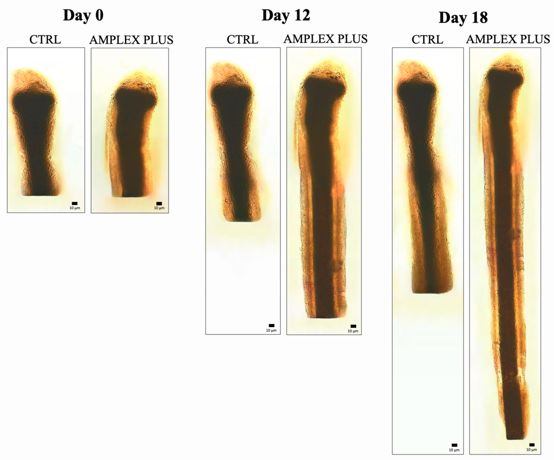 Preprints 89548 g007