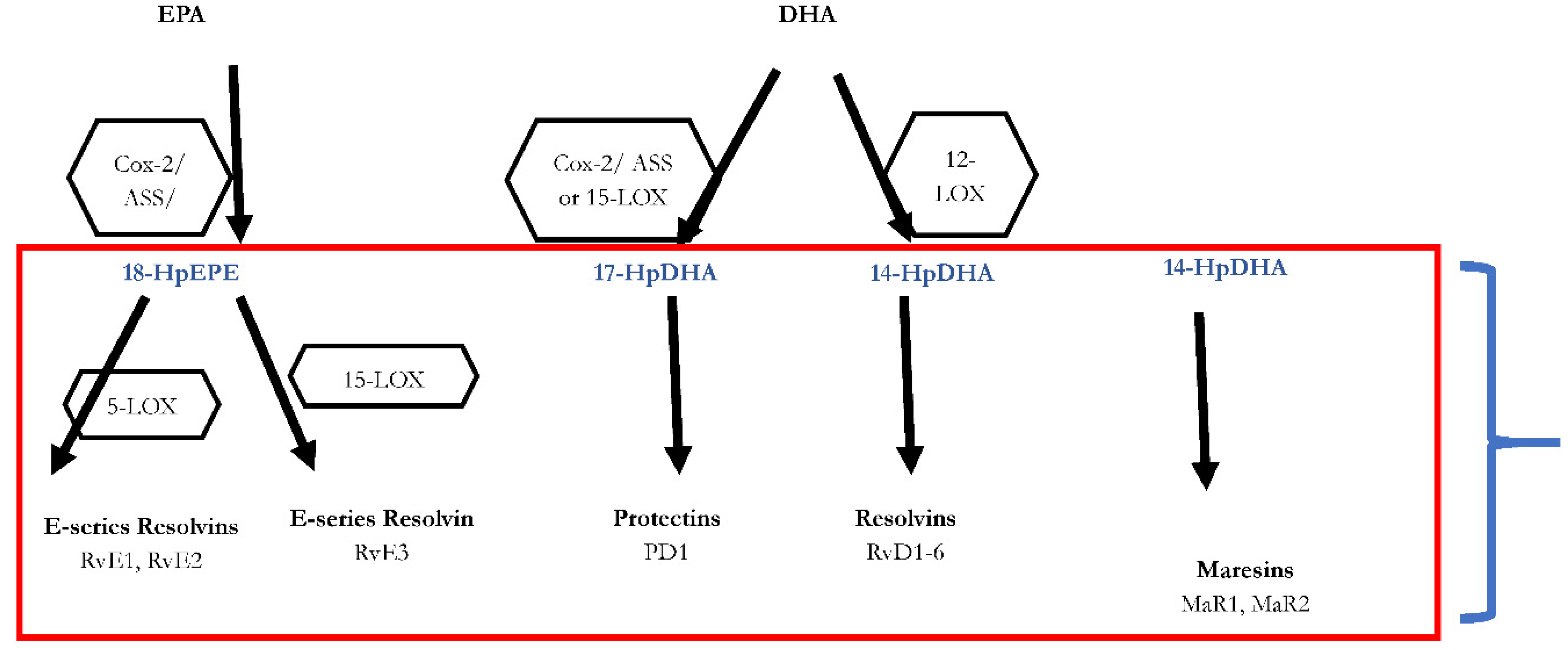 Preprints 70447 g003