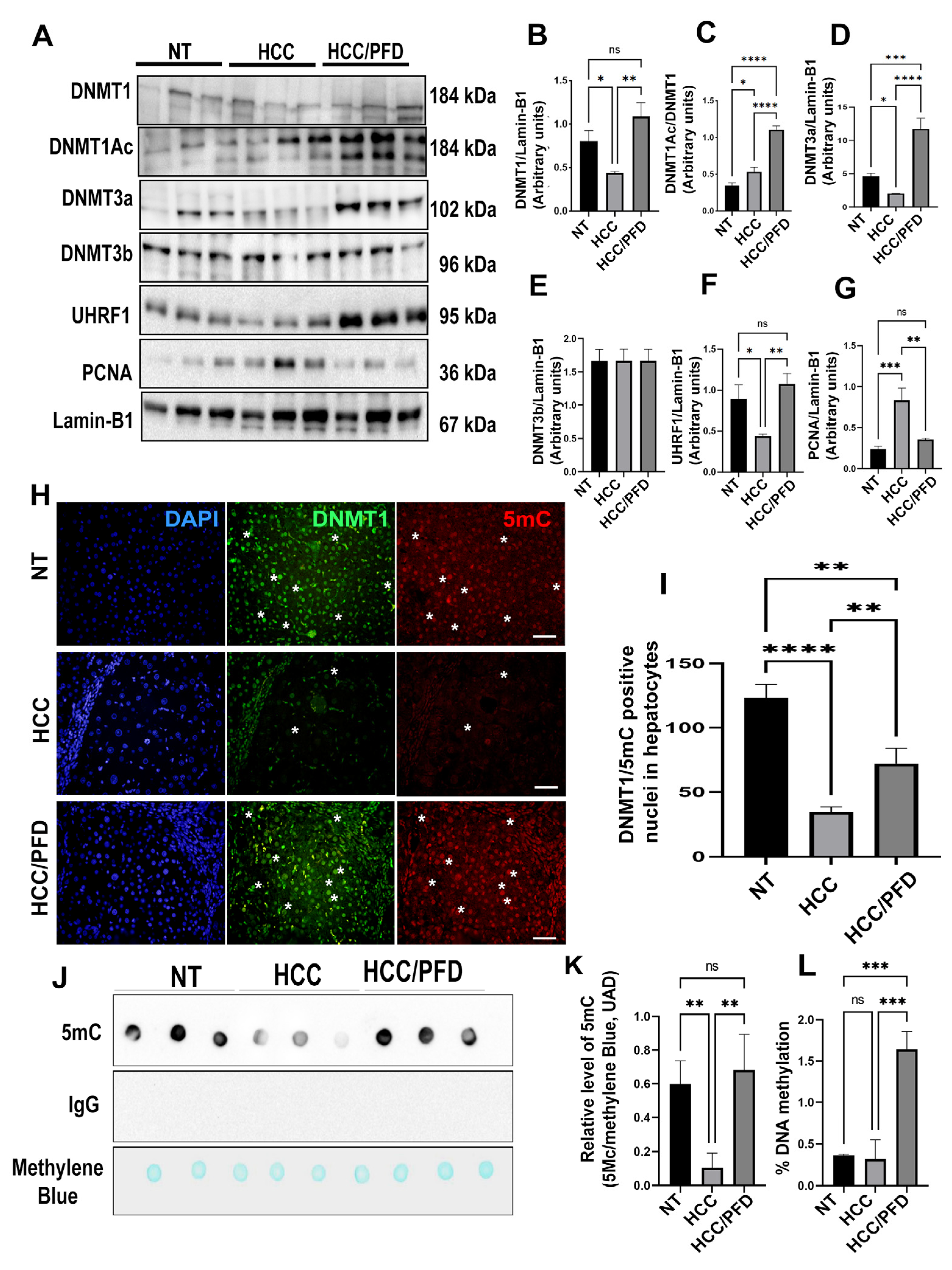 Preprints 103158 g004