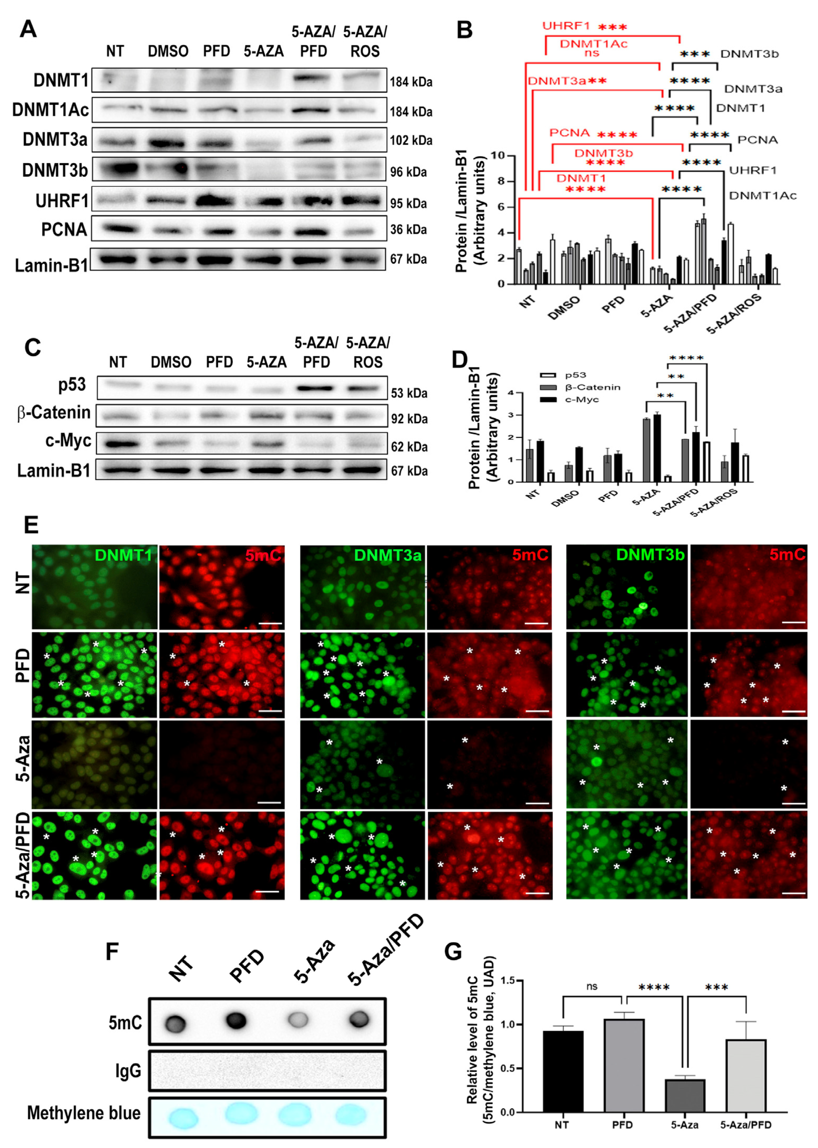 Preprints 103158 g005