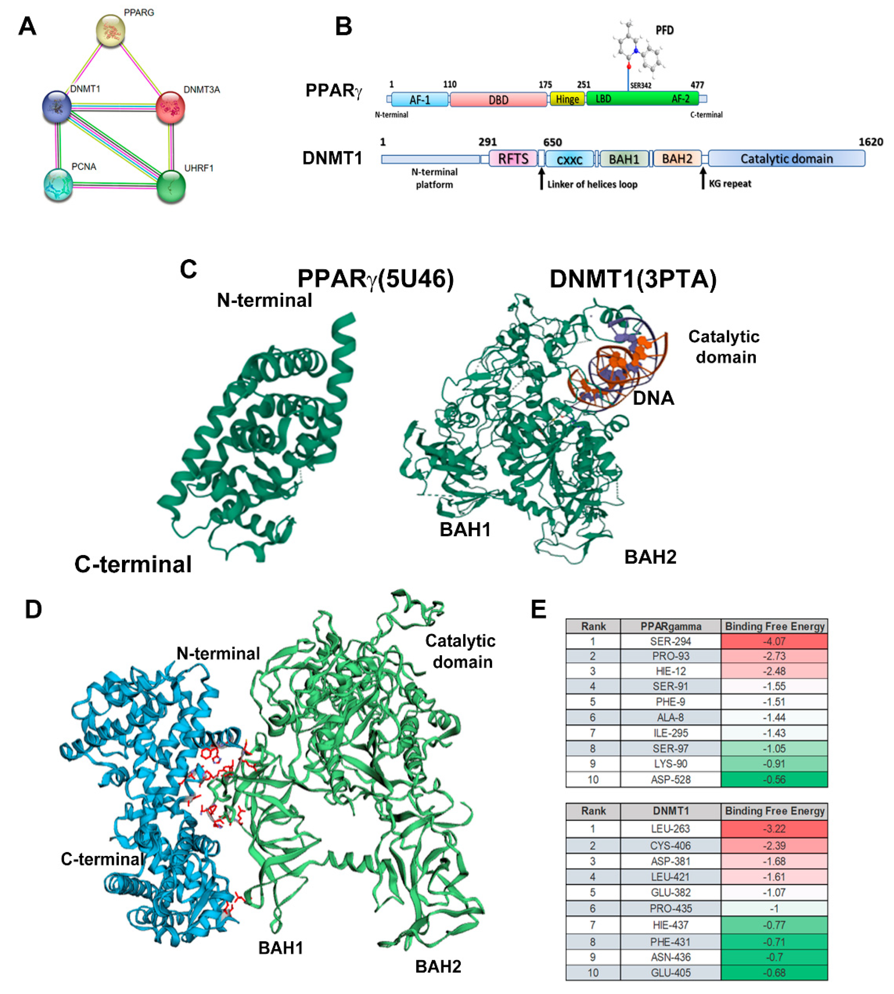 Preprints 103158 g006