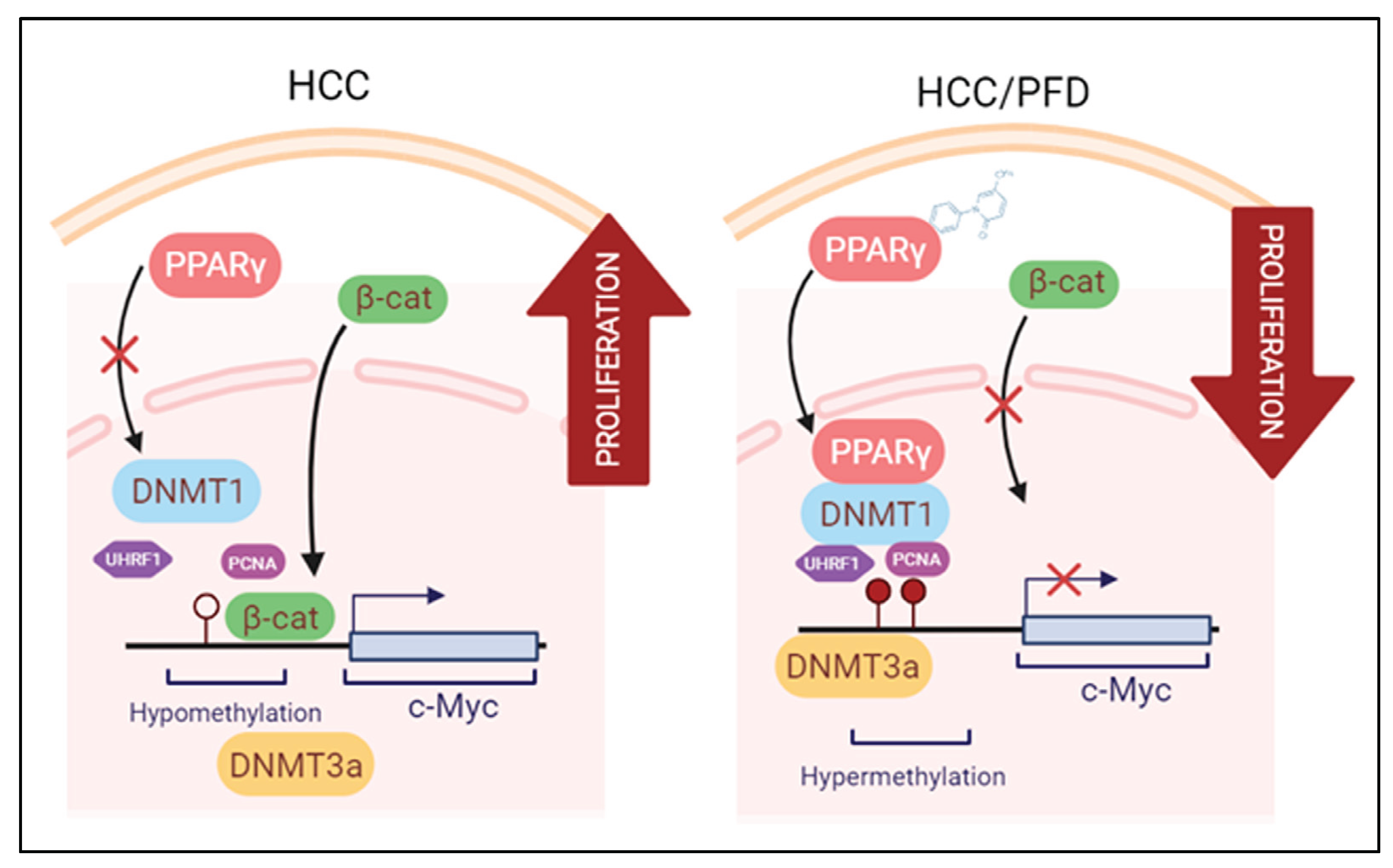 Preprints 103158 g007