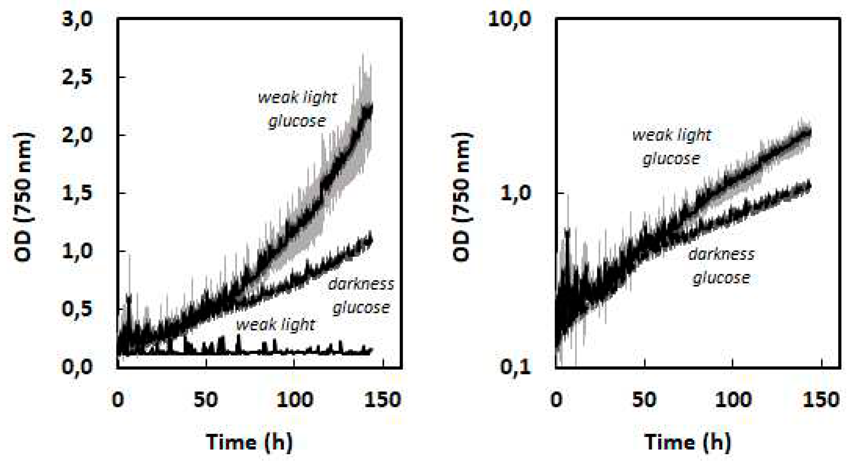 Preprints 86592 g004