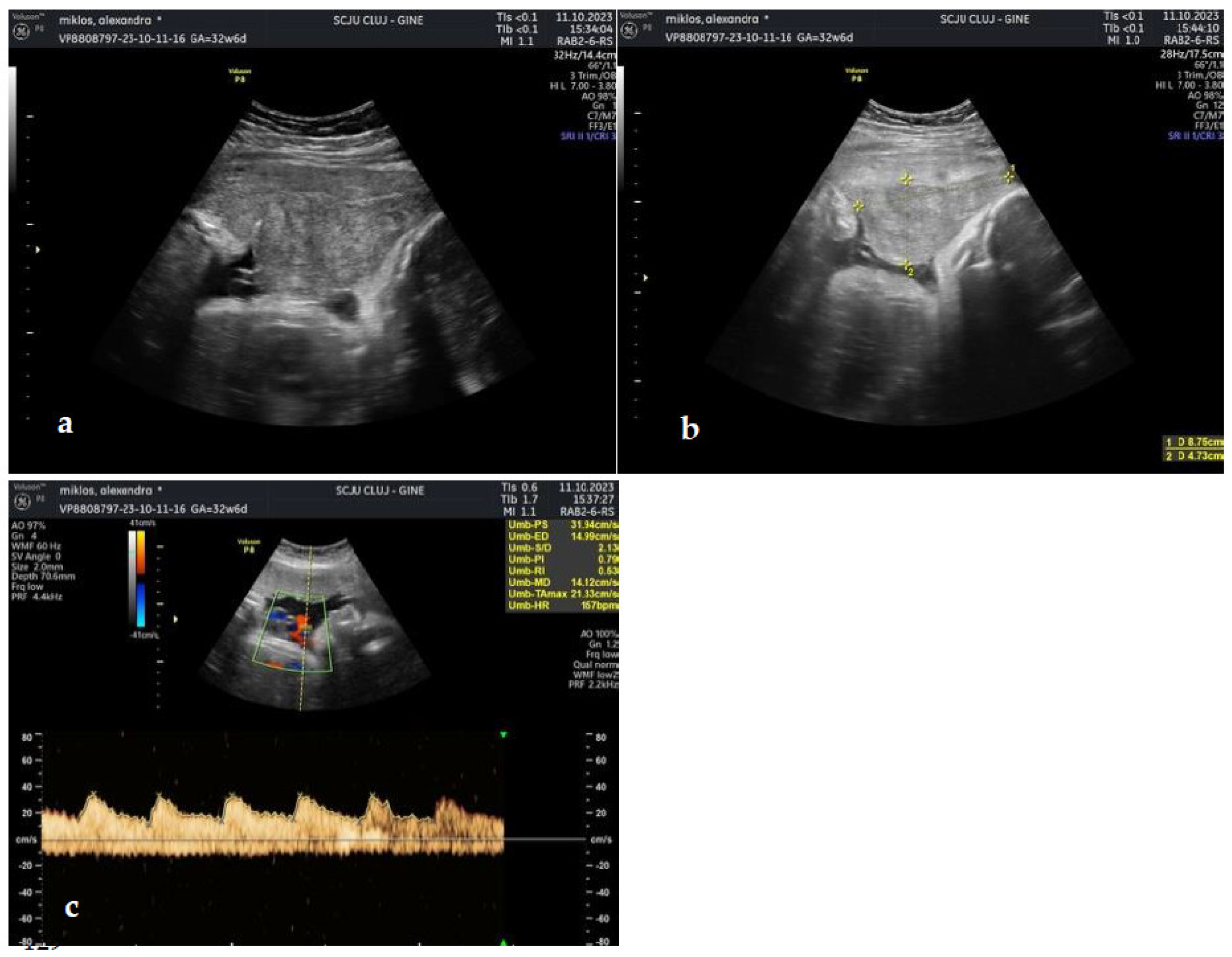 Preprints 91614 g003