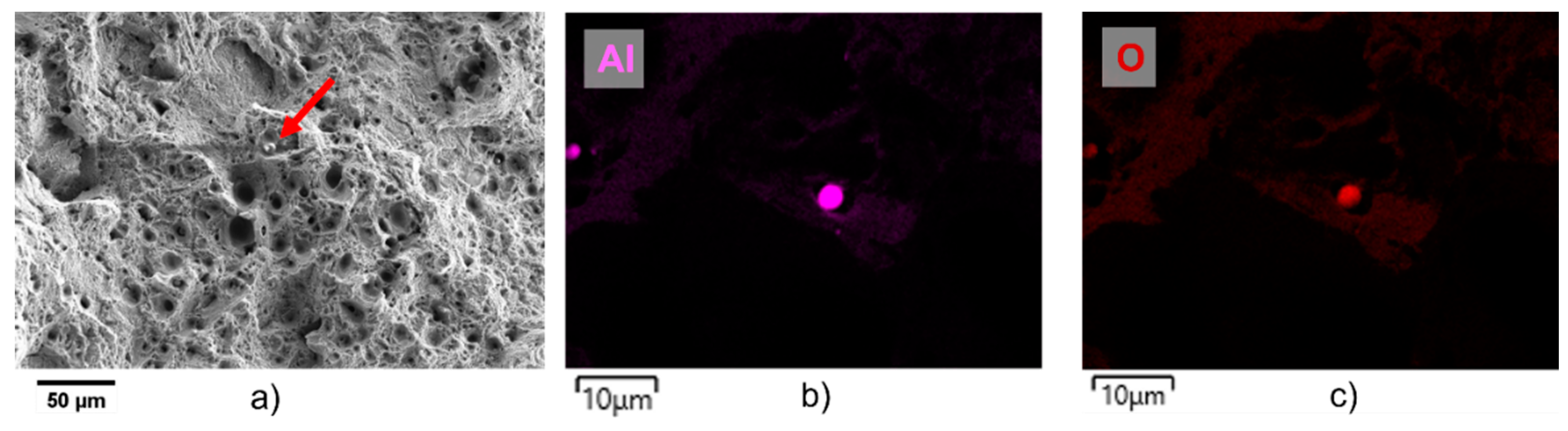 Preprints 116761 g010