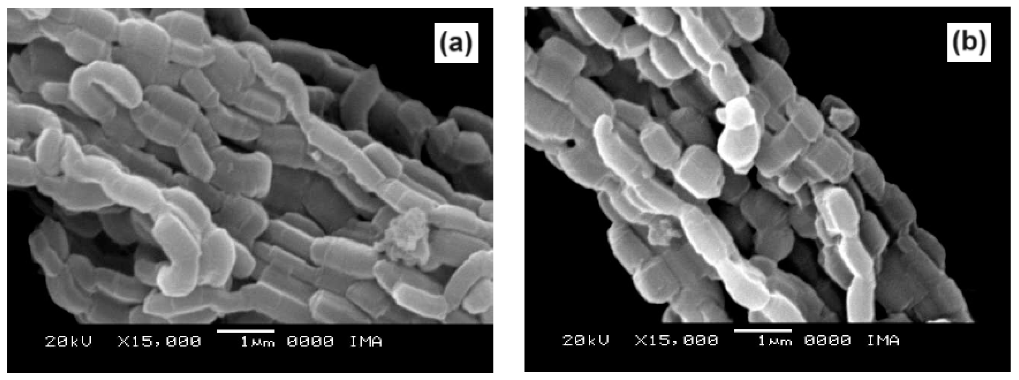 Preprints 97398 g009