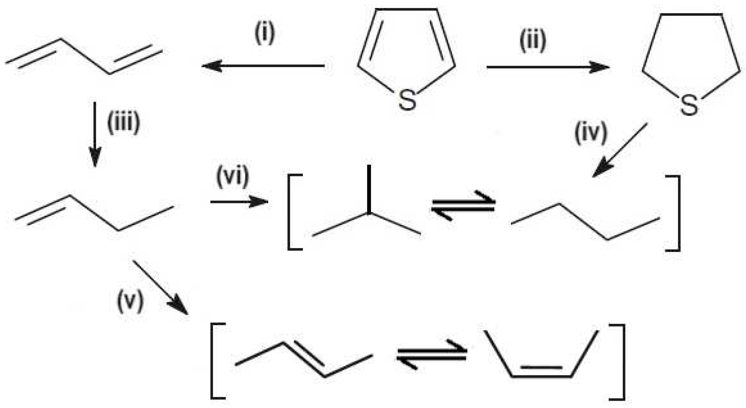 Preprints 97398 g015