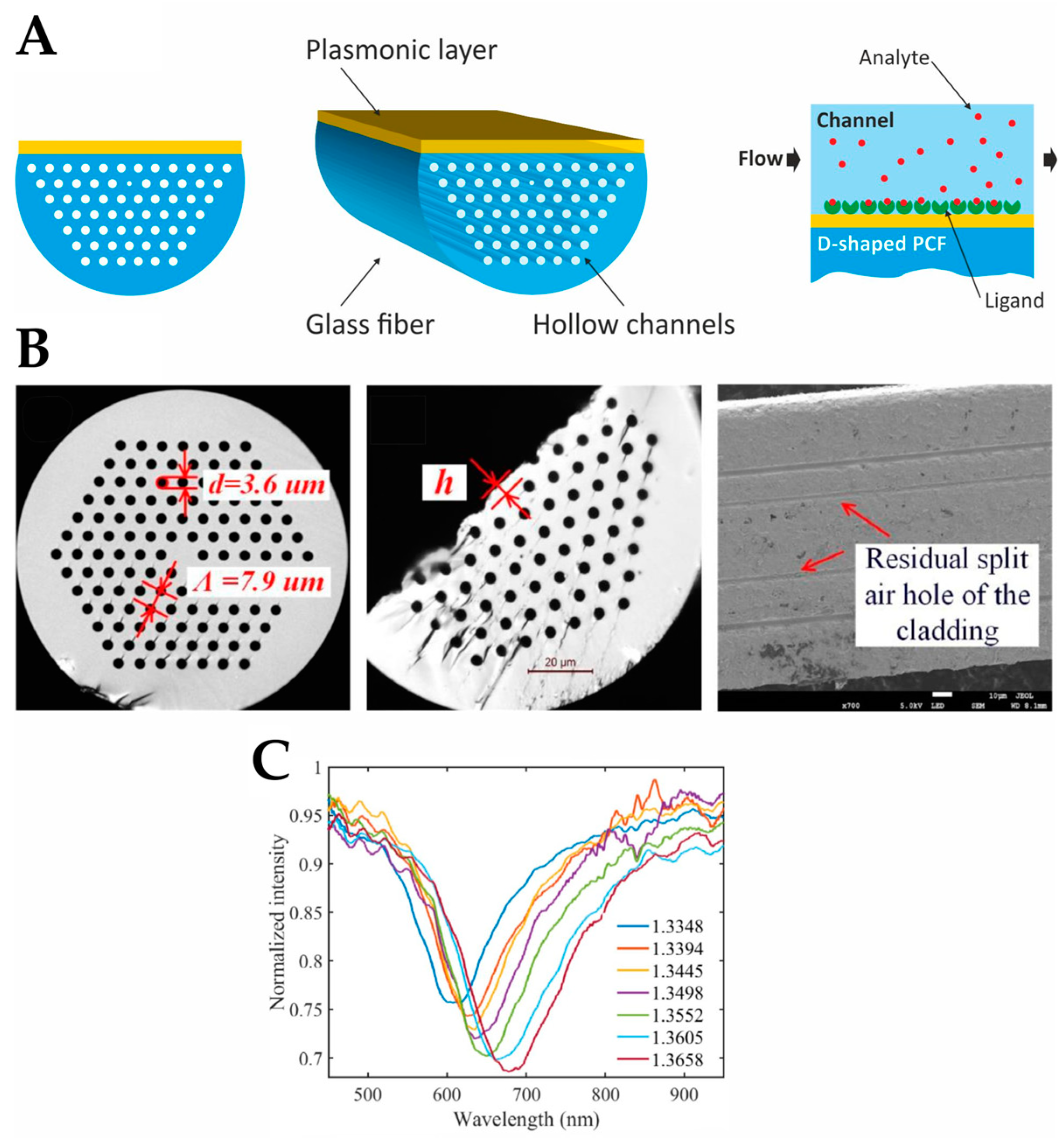 Preprints 114942 g010