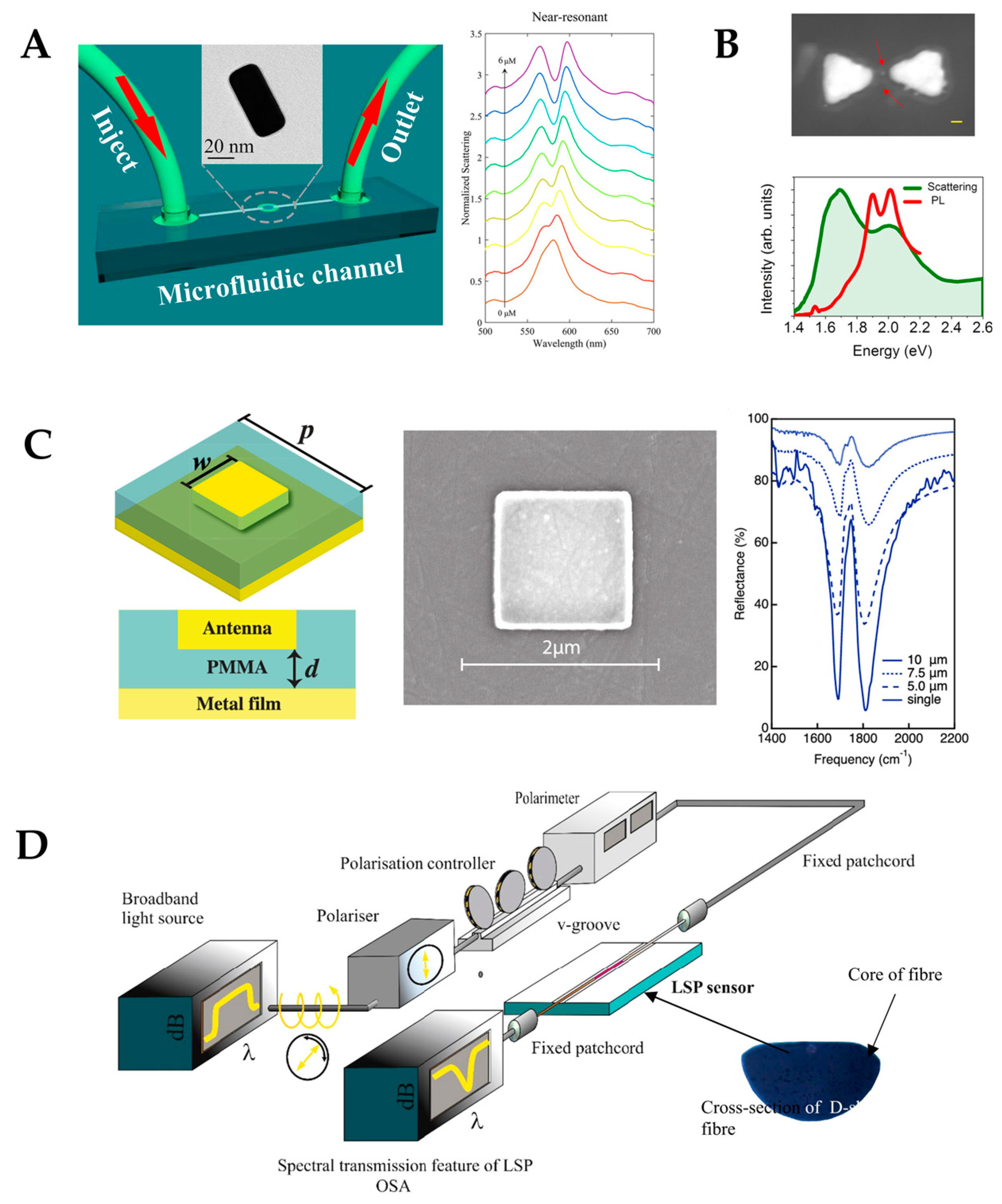 Preprints 114942 g012