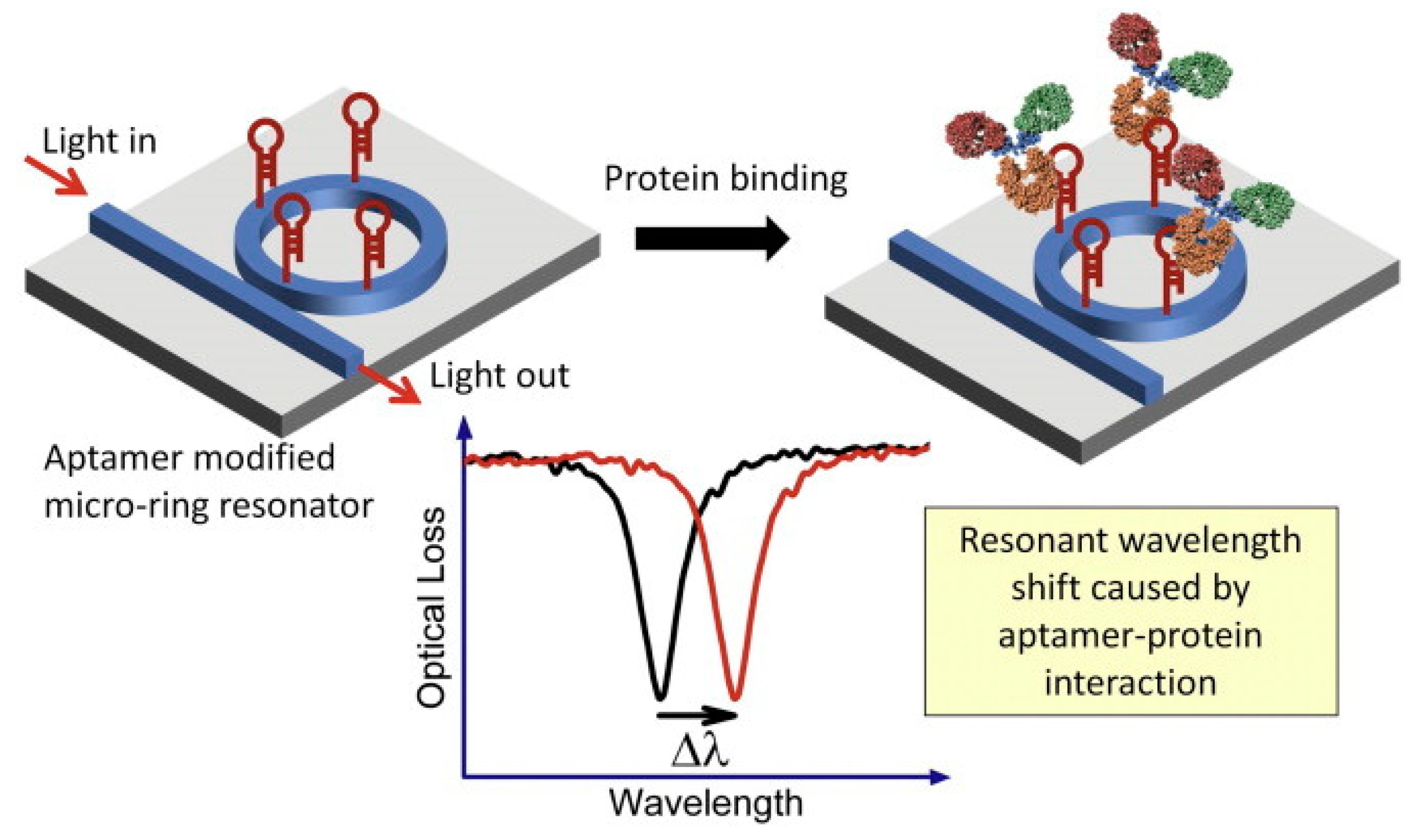 Preprints 114942 g013