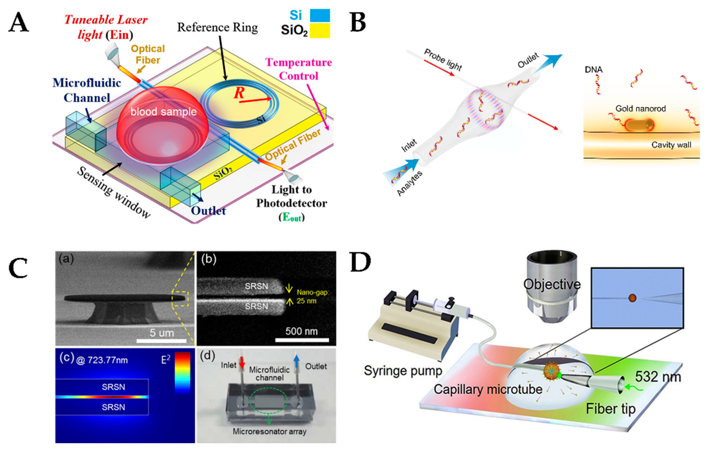 Preprints 114942 g015