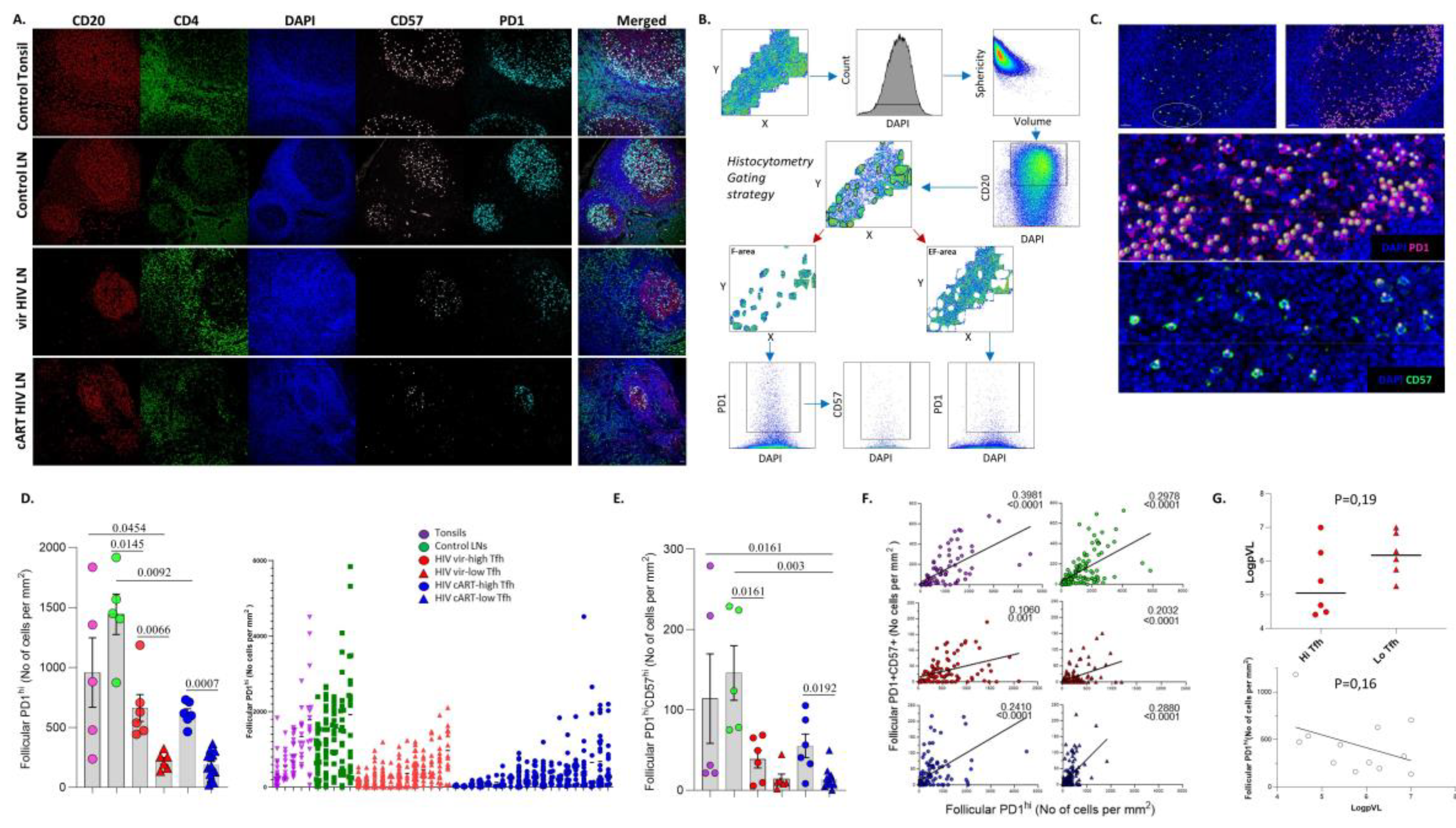 Preprints 112192 g001