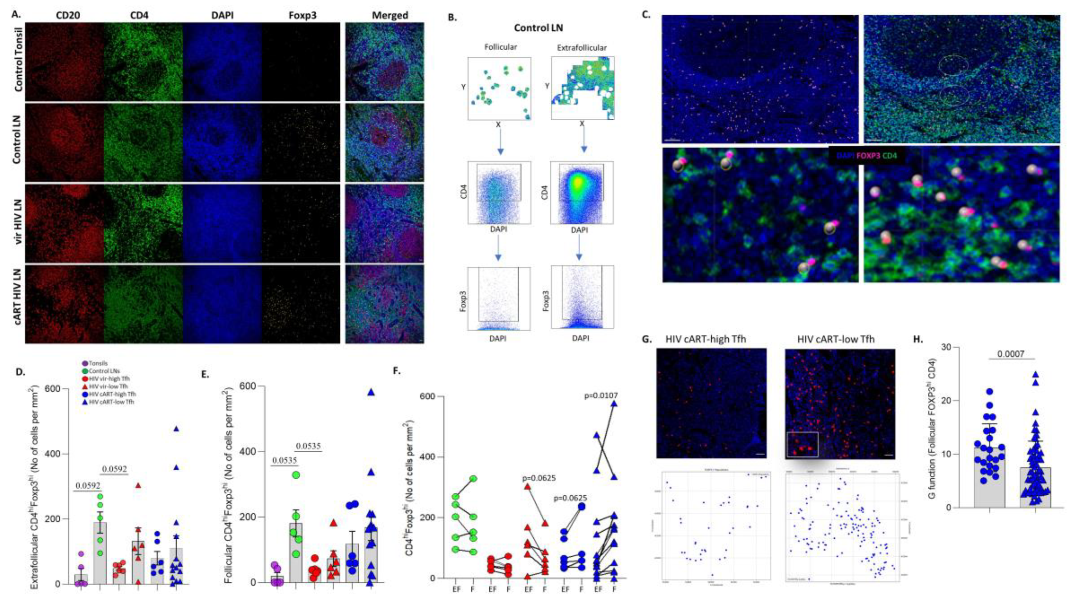 Preprints 112192 g003