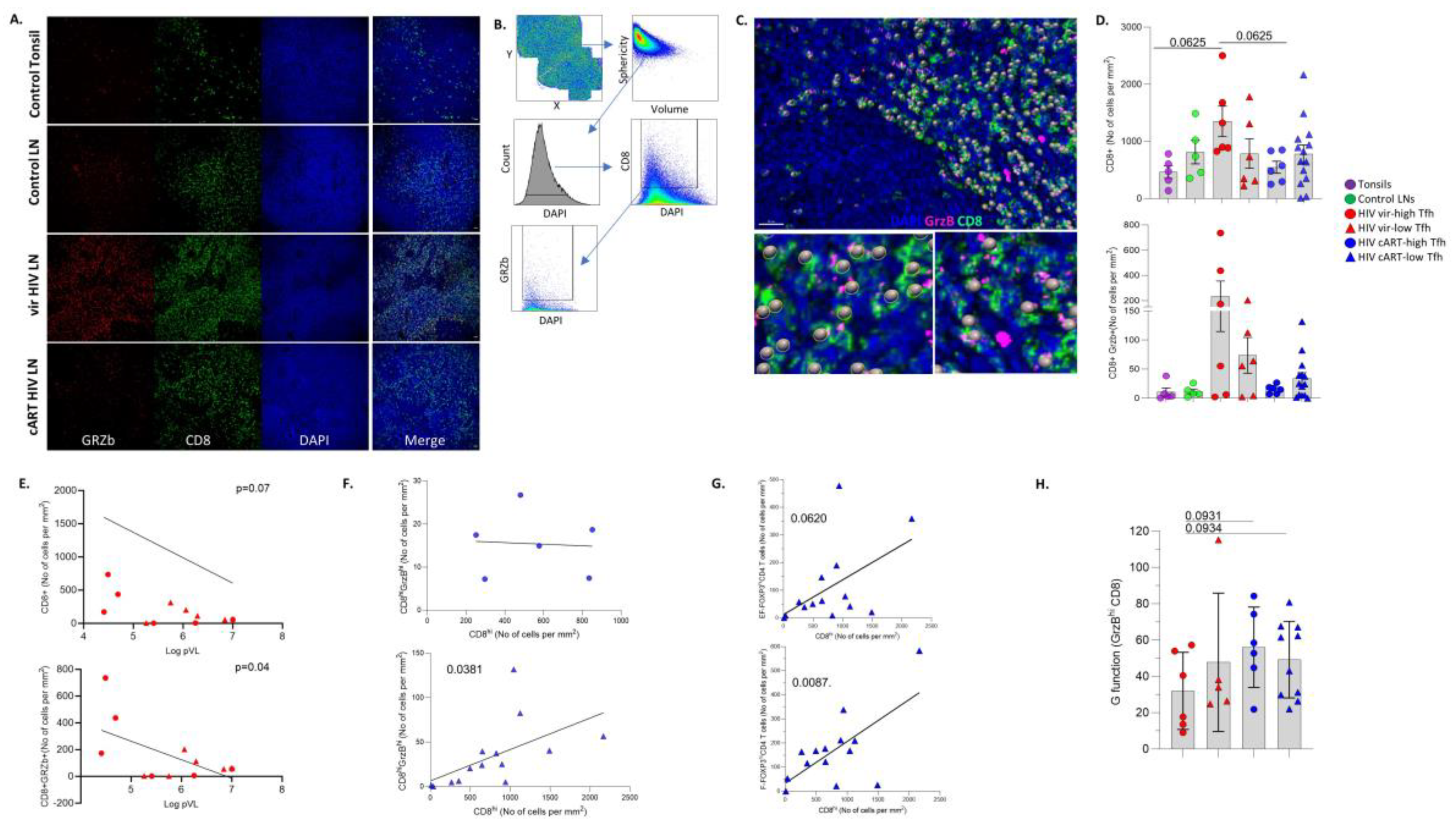 Preprints 112192 g004