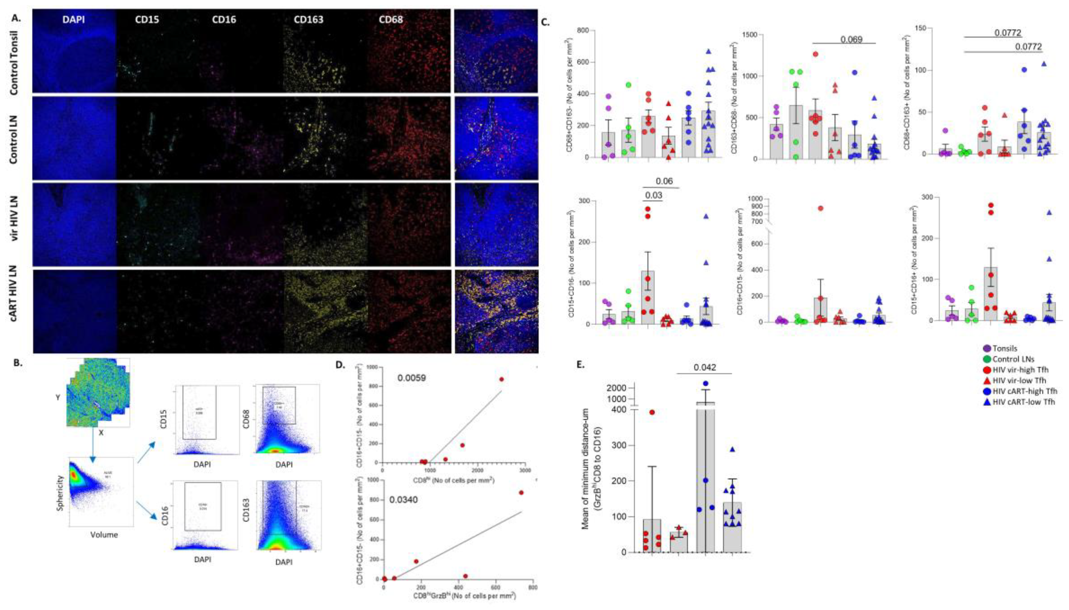 Preprints 112192 g005