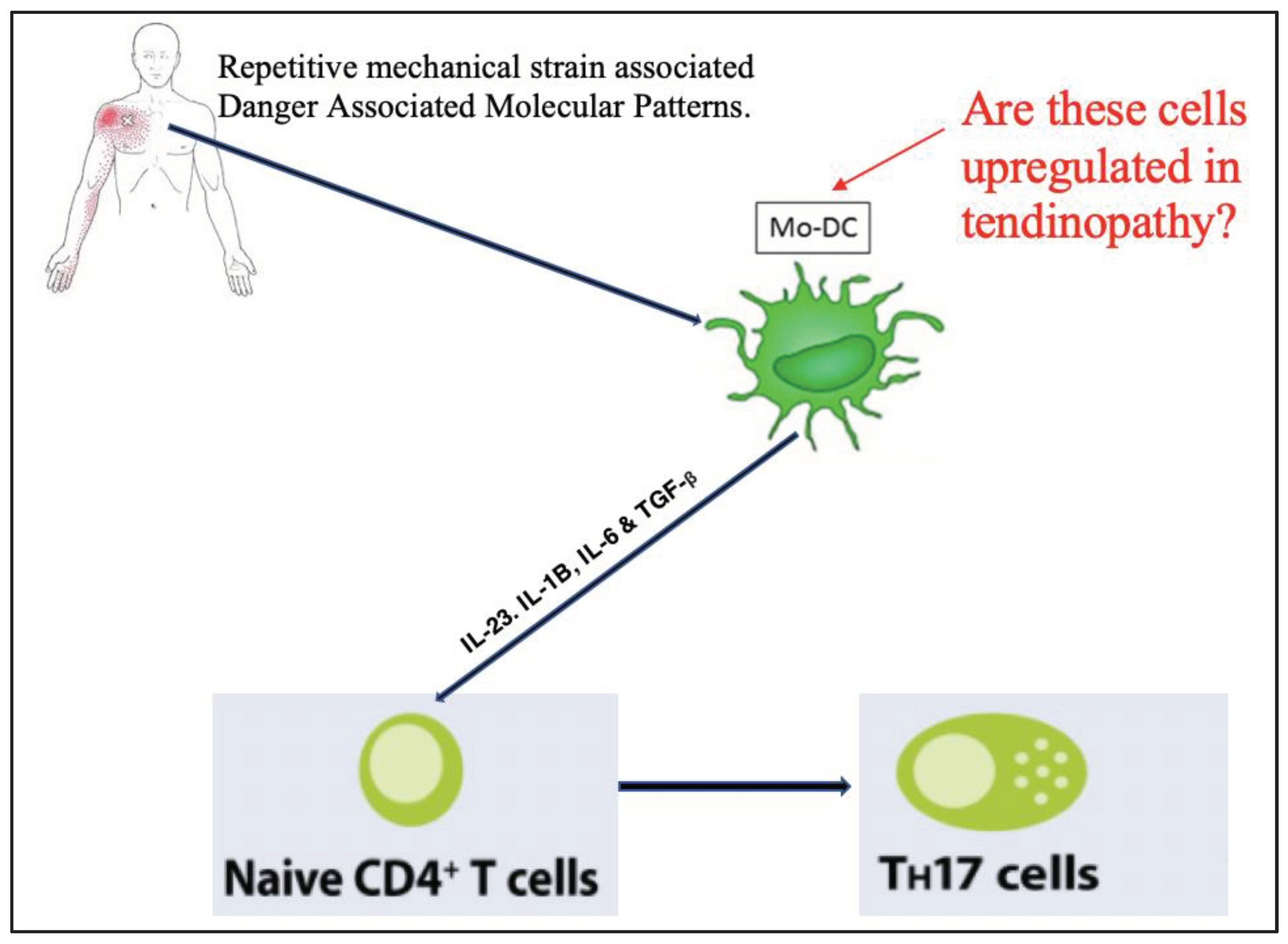 Preprints 100200 g003