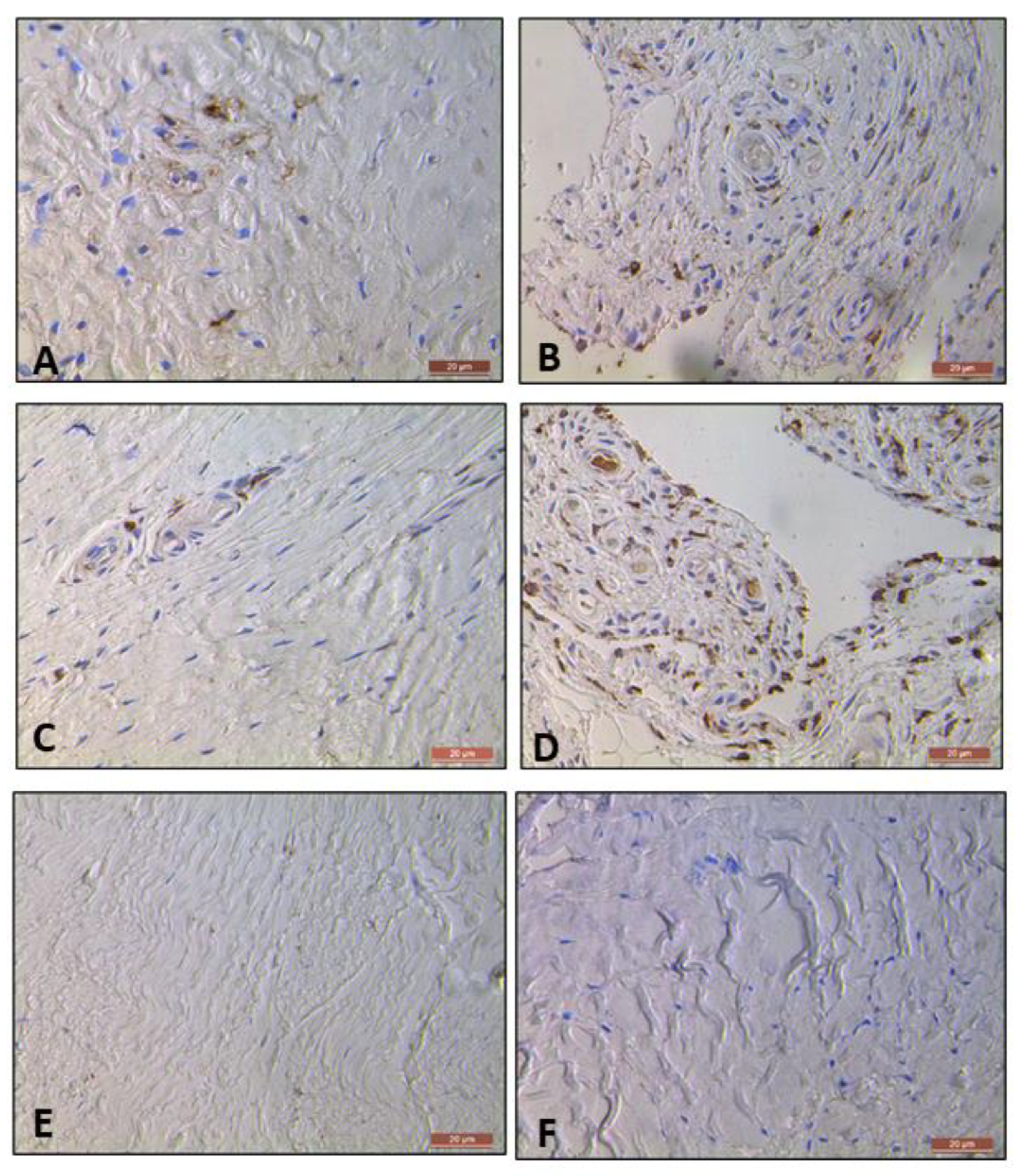 Preprints 100200 g007