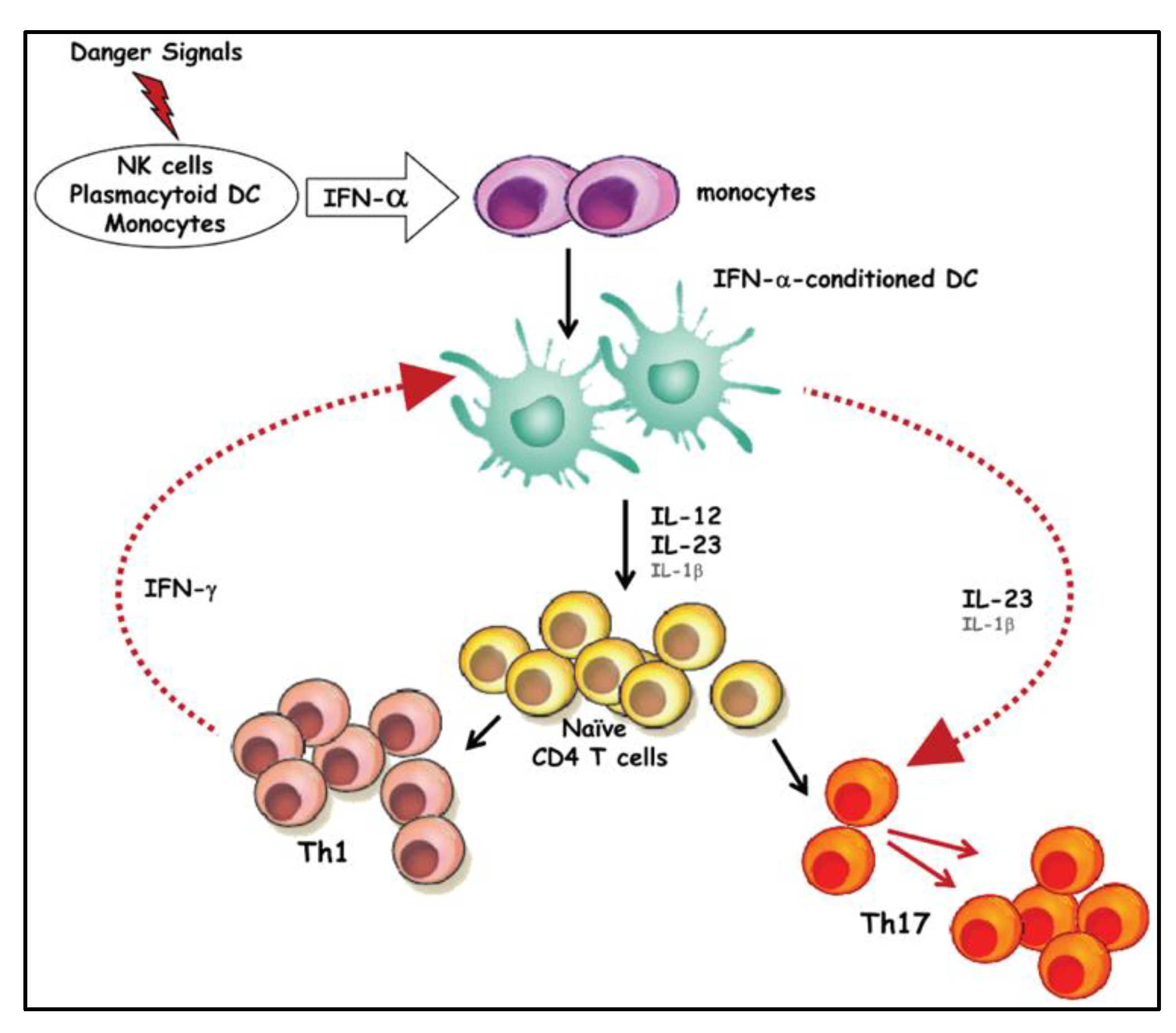 Preprints 100200 g011