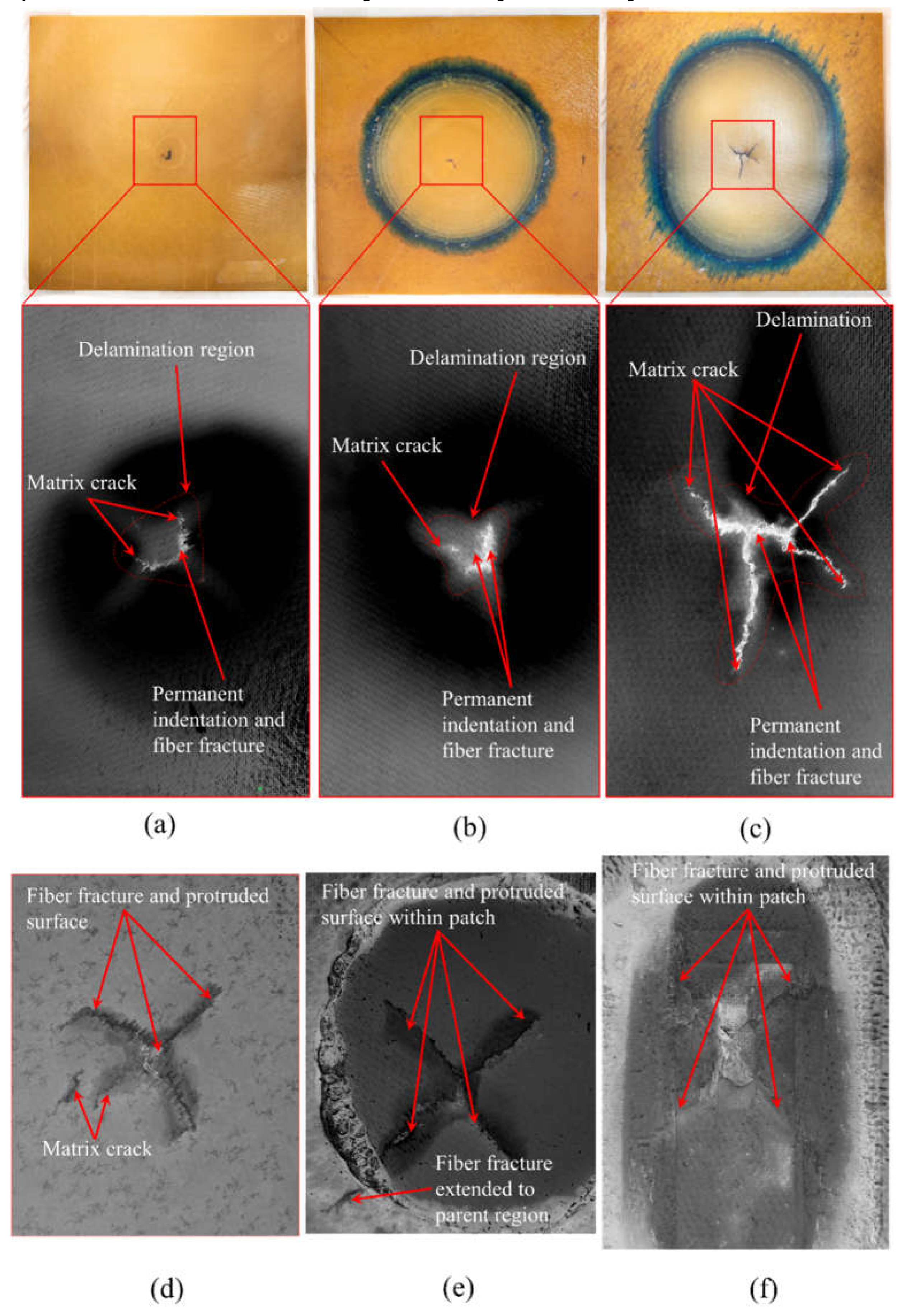 Preprints 71694 g005