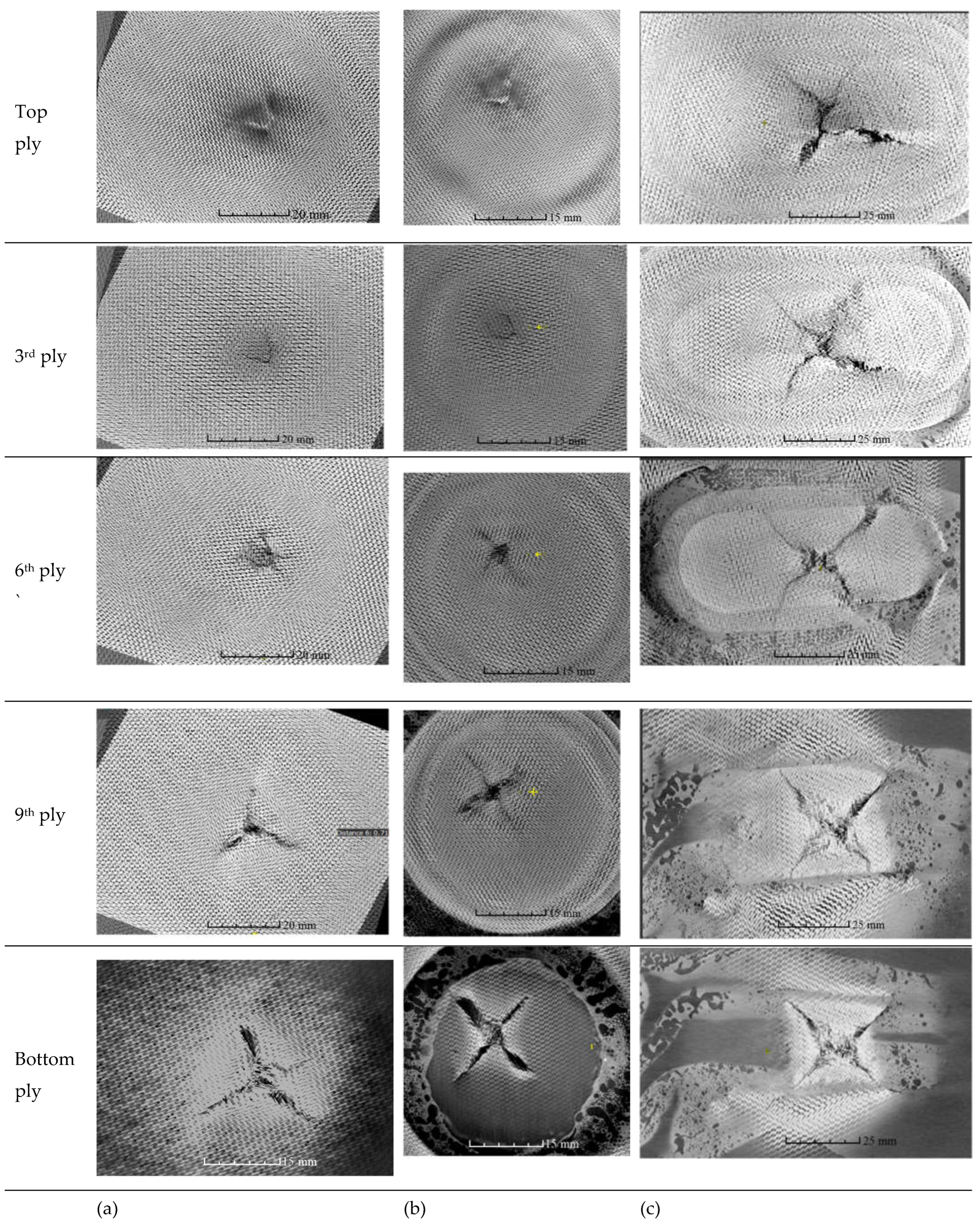 Preprints 71694 g008