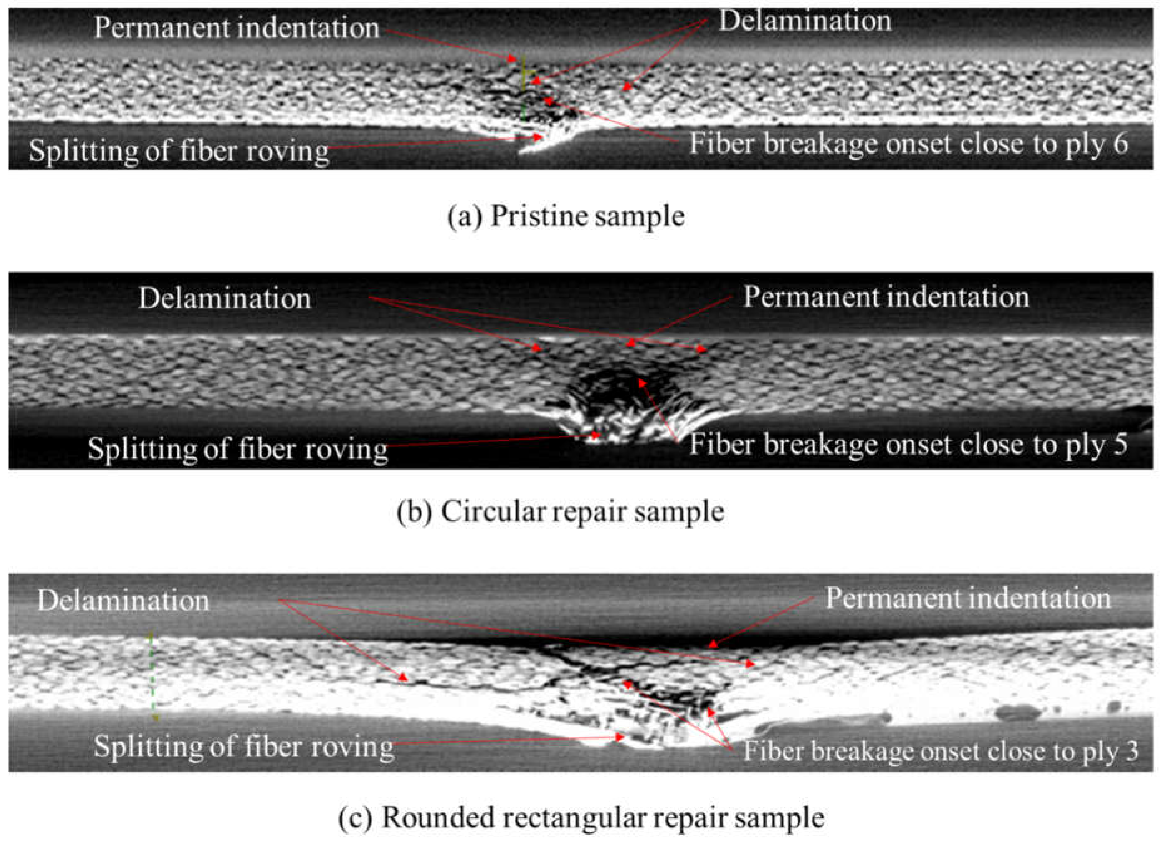 Preprints 71694 g009