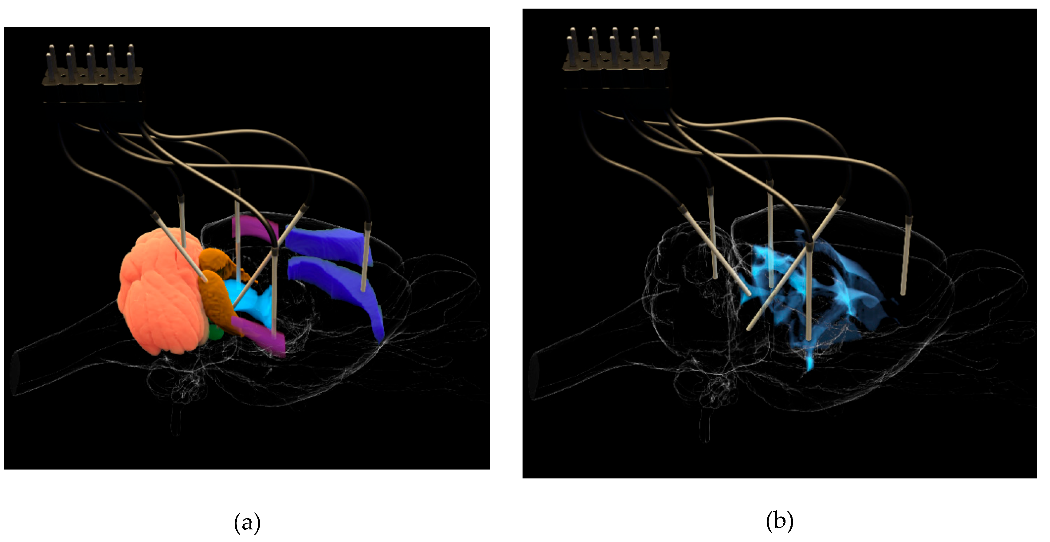 Preprints 102538 g001