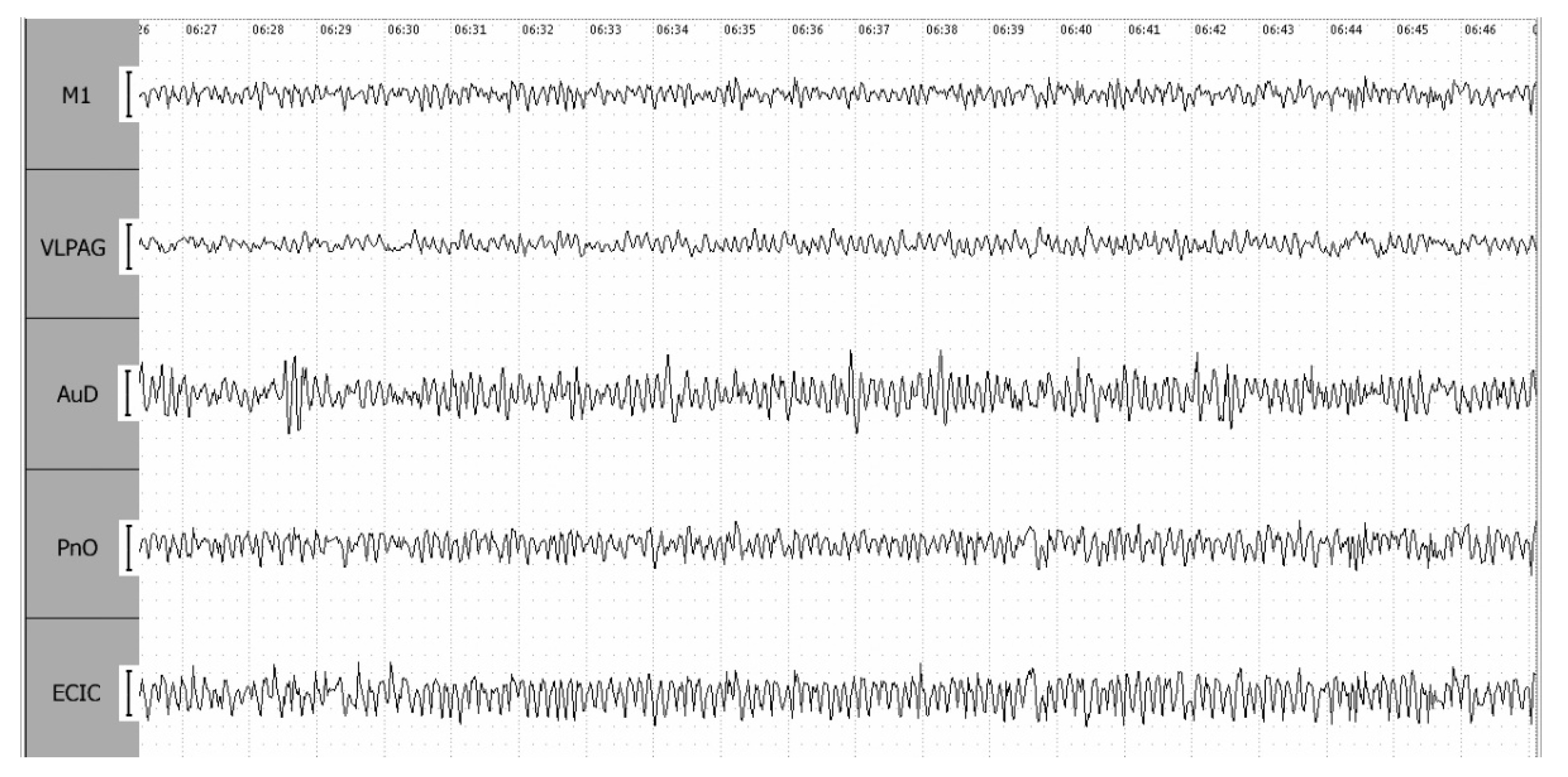 Preprints 102538 g006