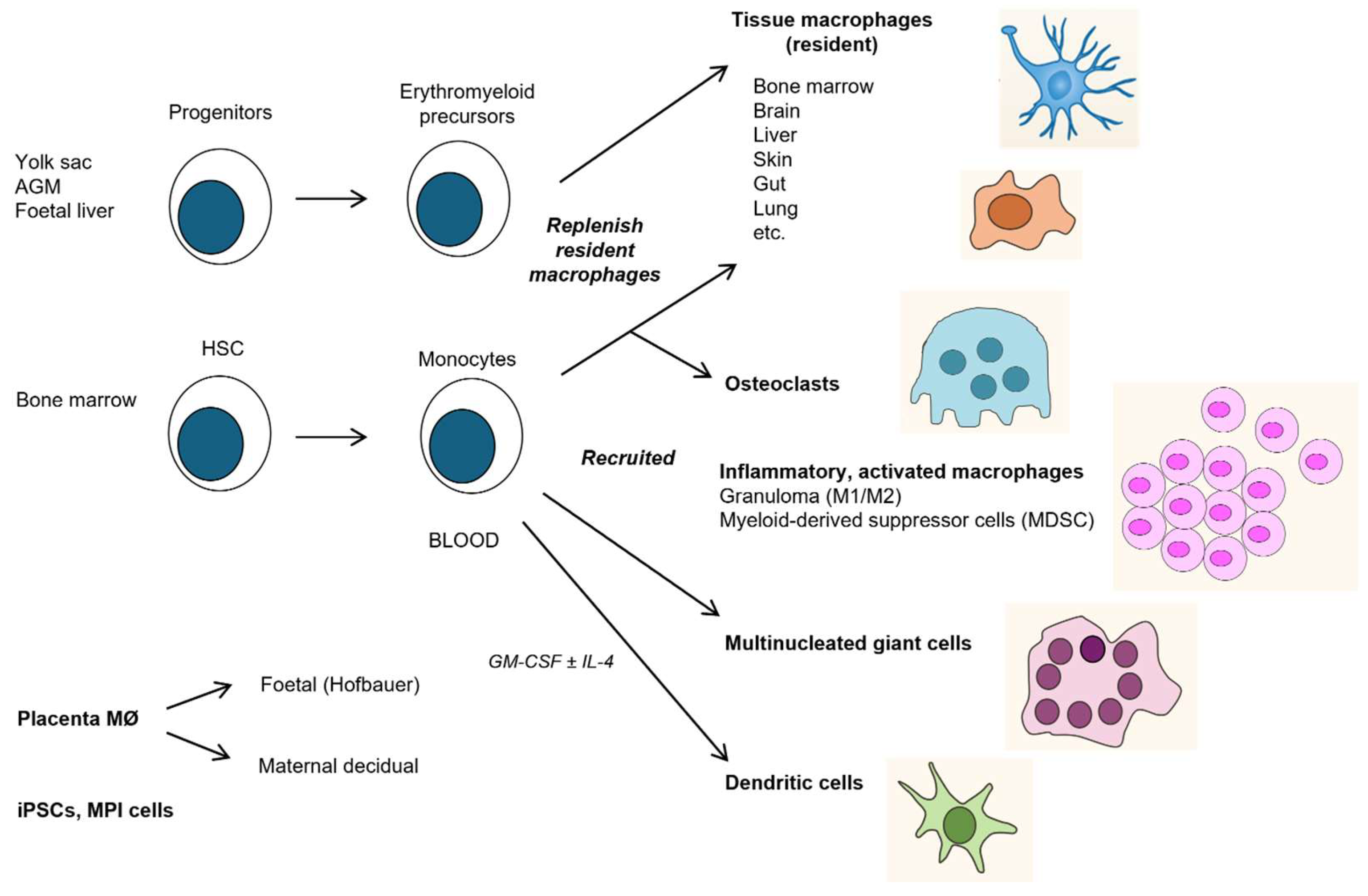 Preprints 113077 g003