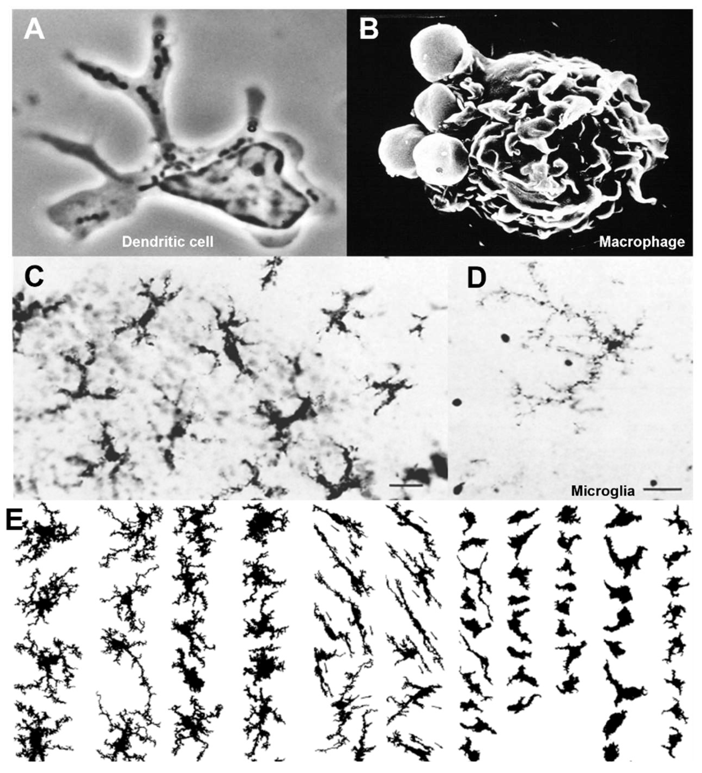 Preprints 113077 g004