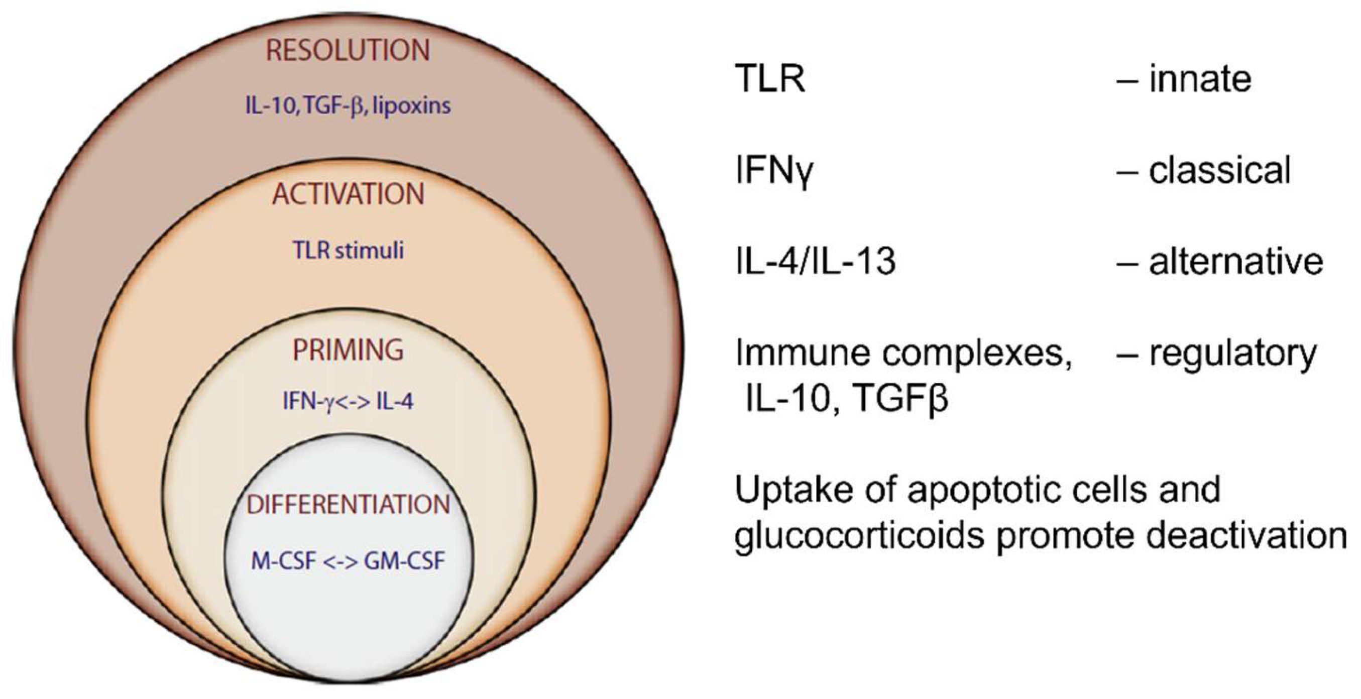 Preprints 113077 g007