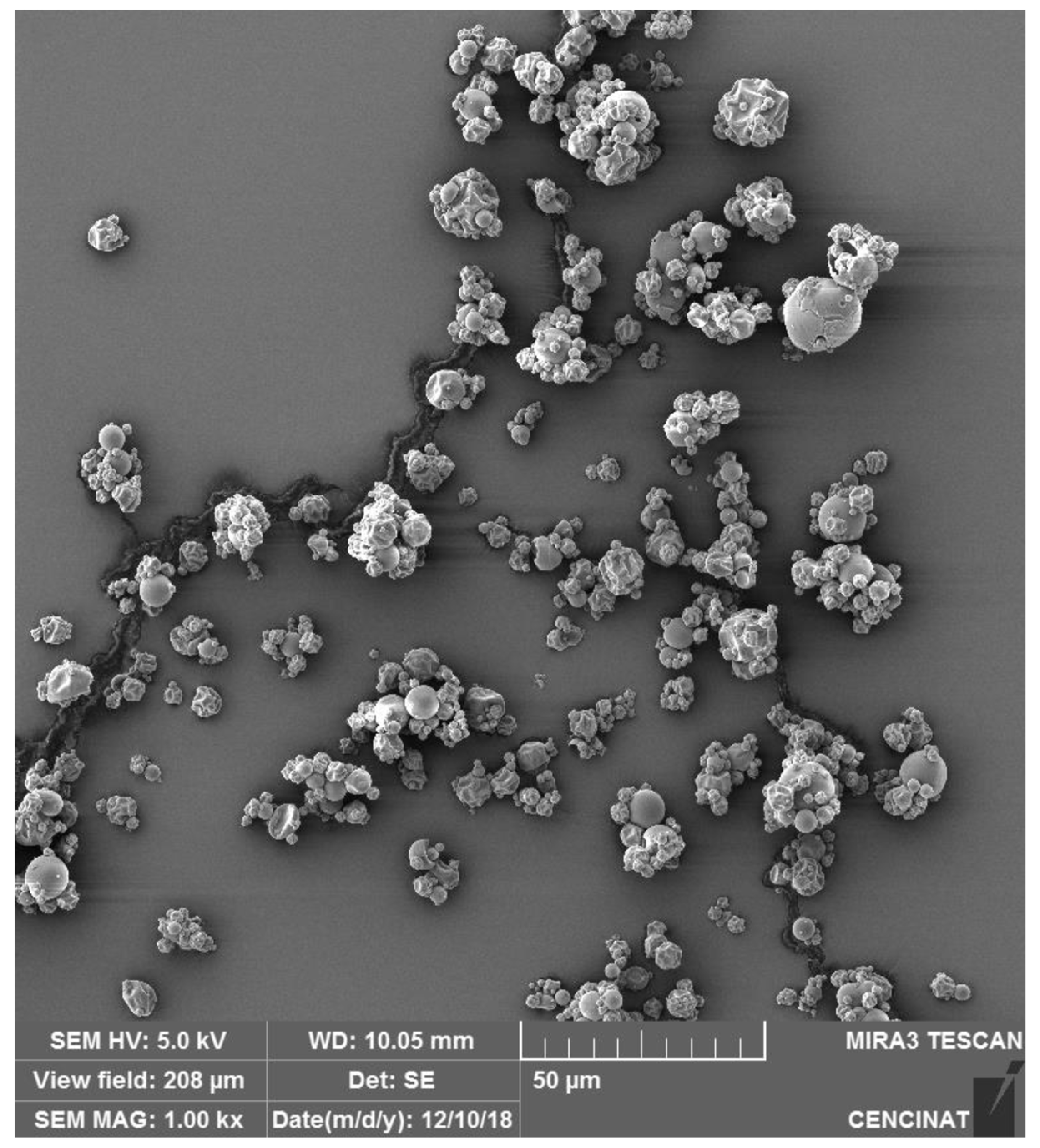 Preprints 120014 g002