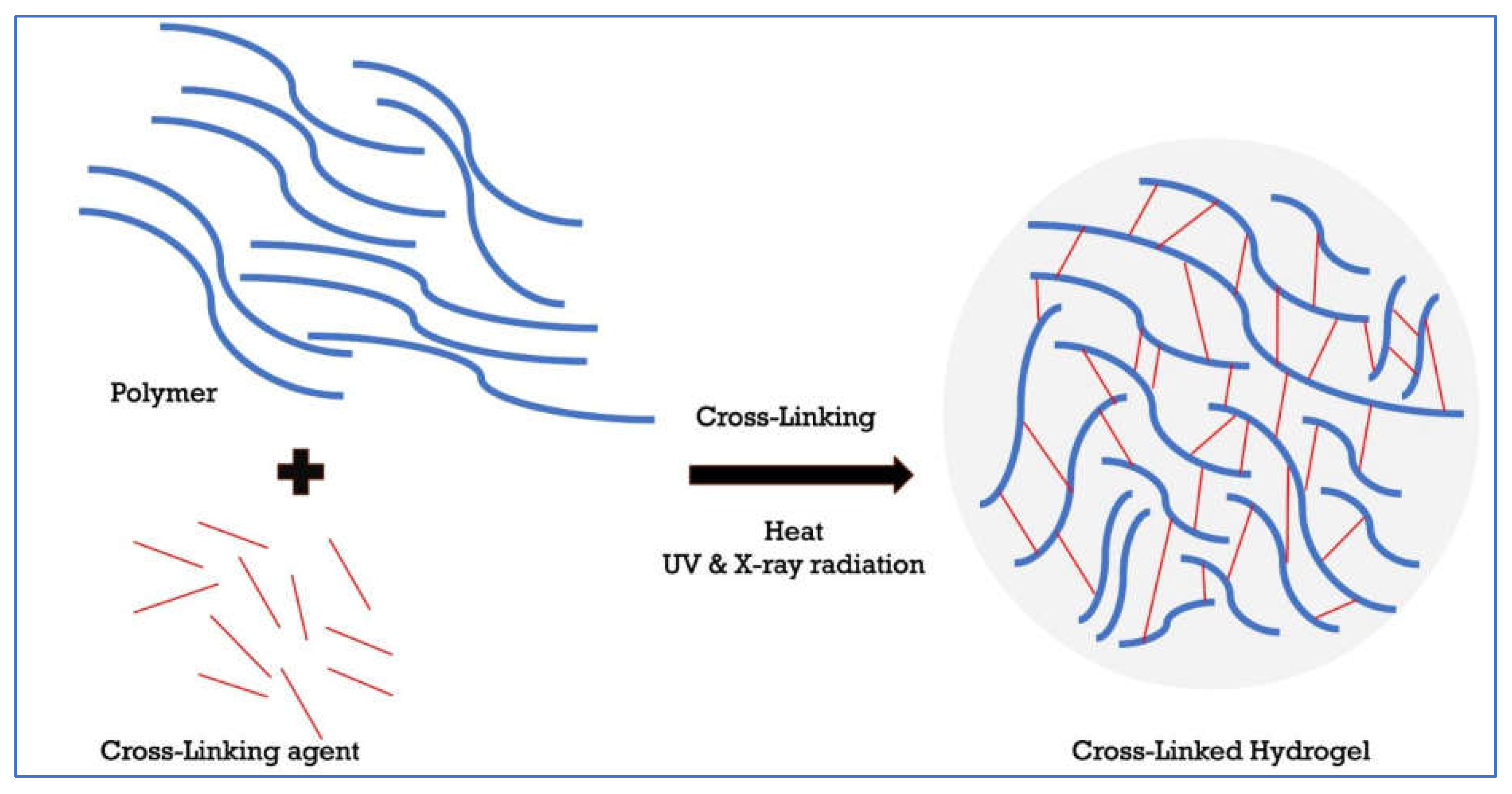 Preprints 107313 g003